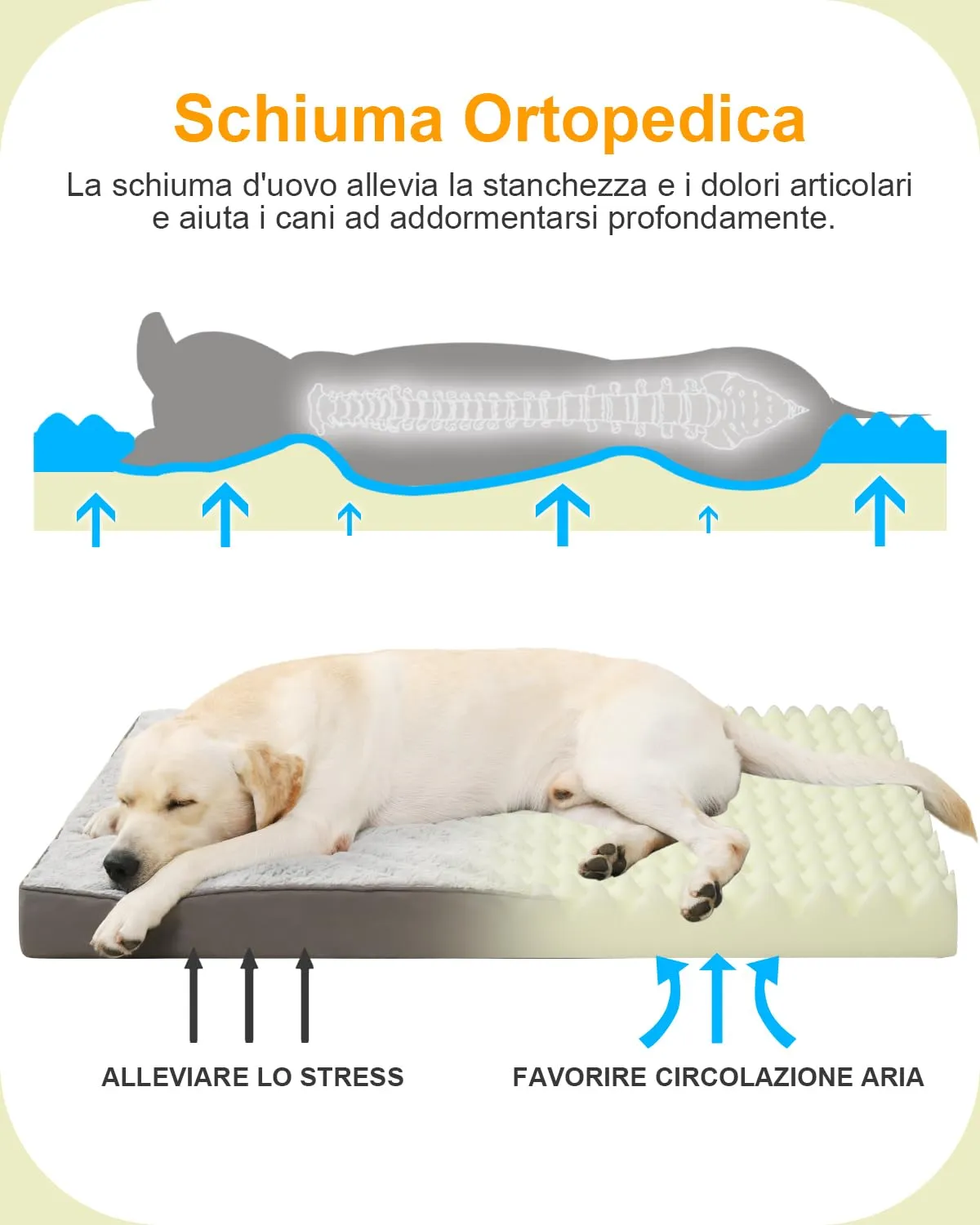 KSIIA Cuccia Ortopedica per Cane, Cuscino Interno Taglia Grande, 91x68cm - immagine 2