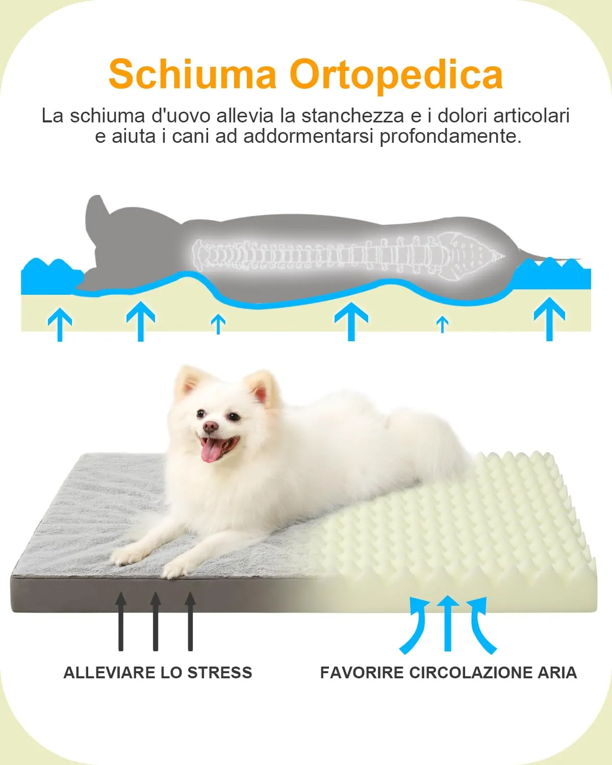 KSIIA Cuccia Ortopedica per Cane Interno, Cuscino Taglia Media, 73x45cm - immagine 2