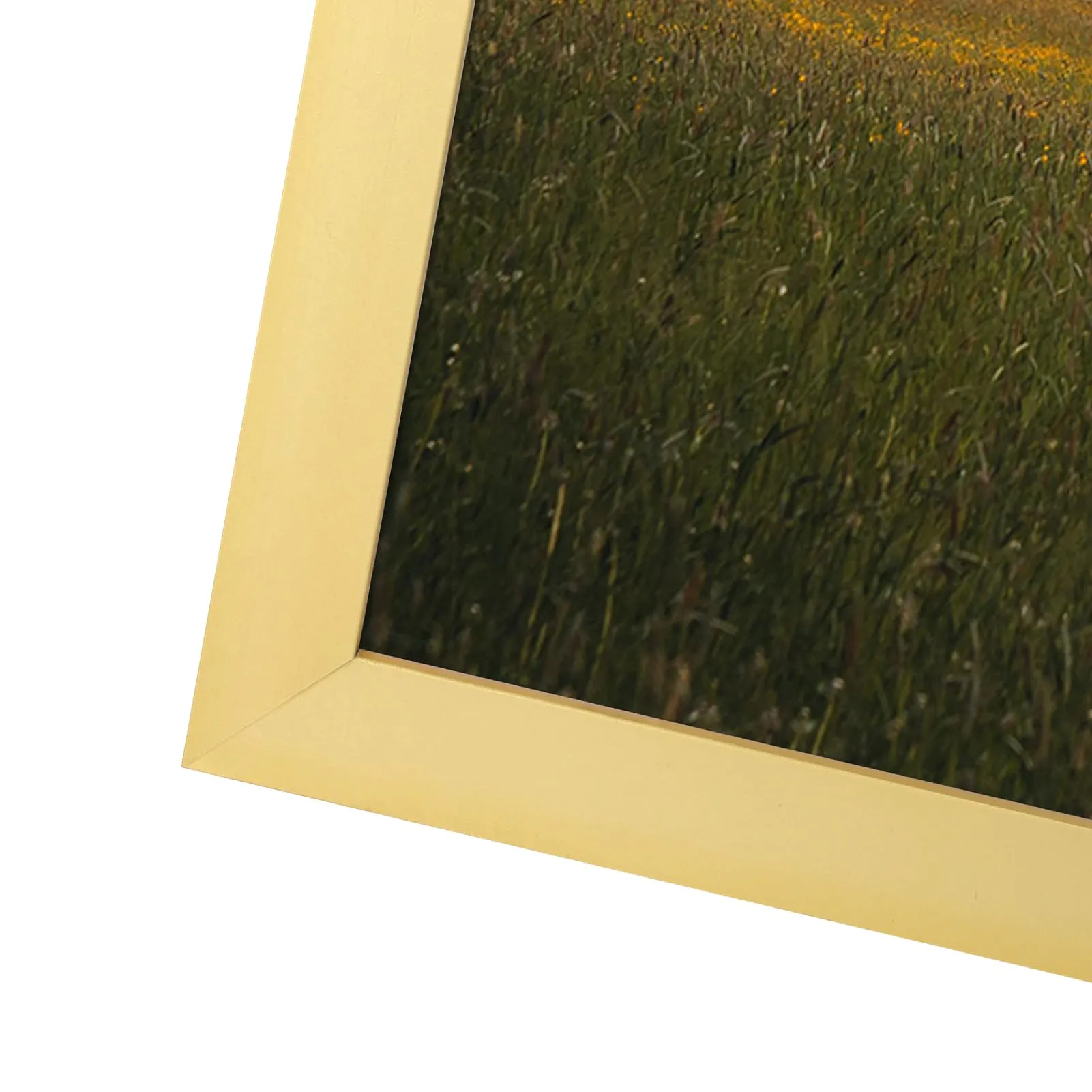 Giftgarden Cornice in Alluminio Dorata 50x70 cm - immagine 6