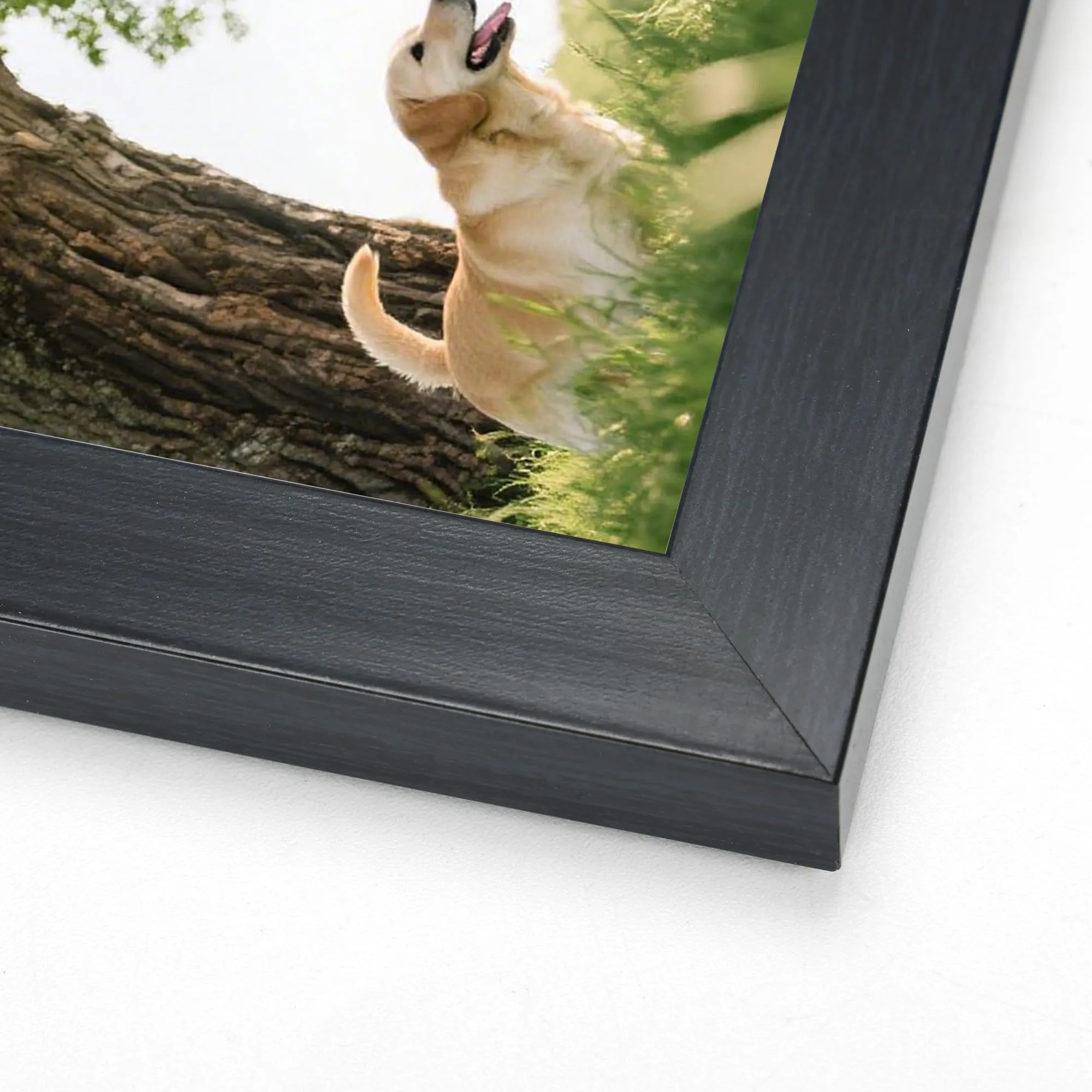 Giftgarden Cornice in PVC Nera 50x50cm, 1 Pezzo - immagine 4