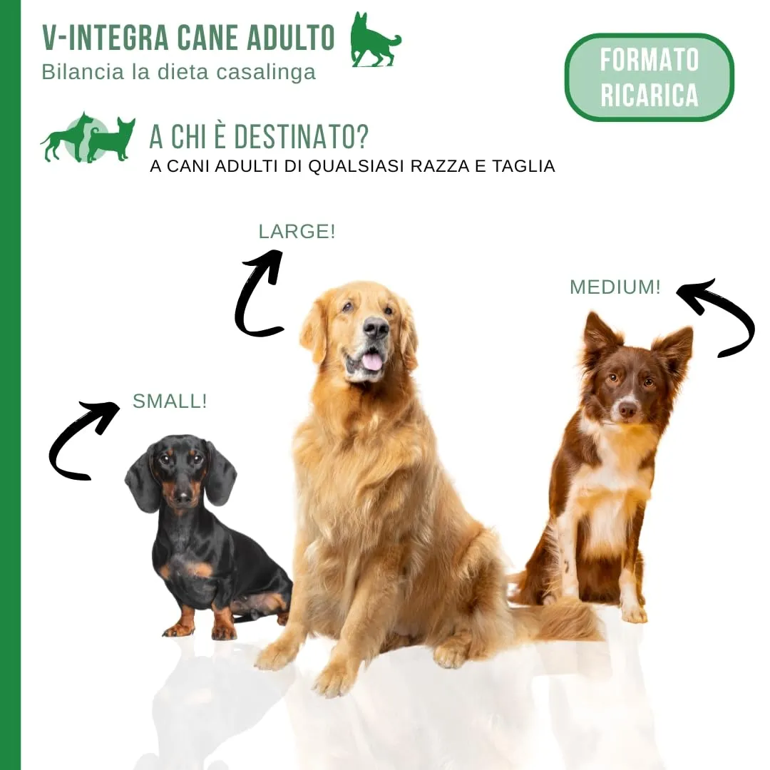 V-INTEGRA Cane Adulto Integratore Multivitaminico Eco Ricarica, 1kg - immagine 3