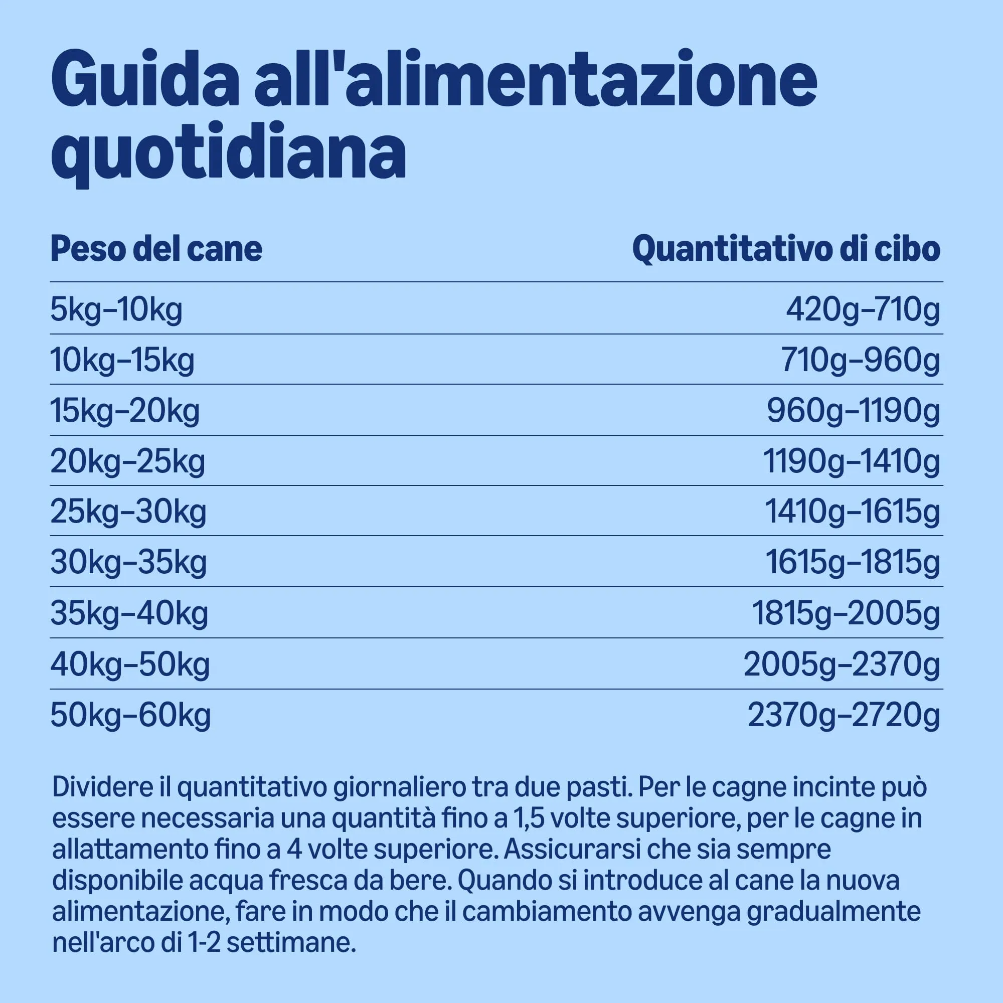 by Amazon Cibo umido per cani, bocconcini di manzo in salsa, 1,24 kg - immagine 4