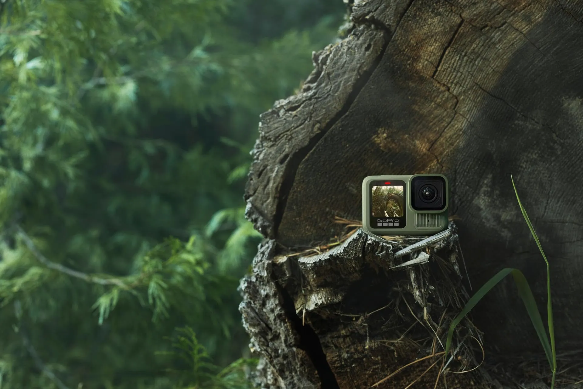 GoPro HERO13 Black Forest Green - Action Camera 5.3K60, 27MP, HB Lens Compatibility - immagine 8
