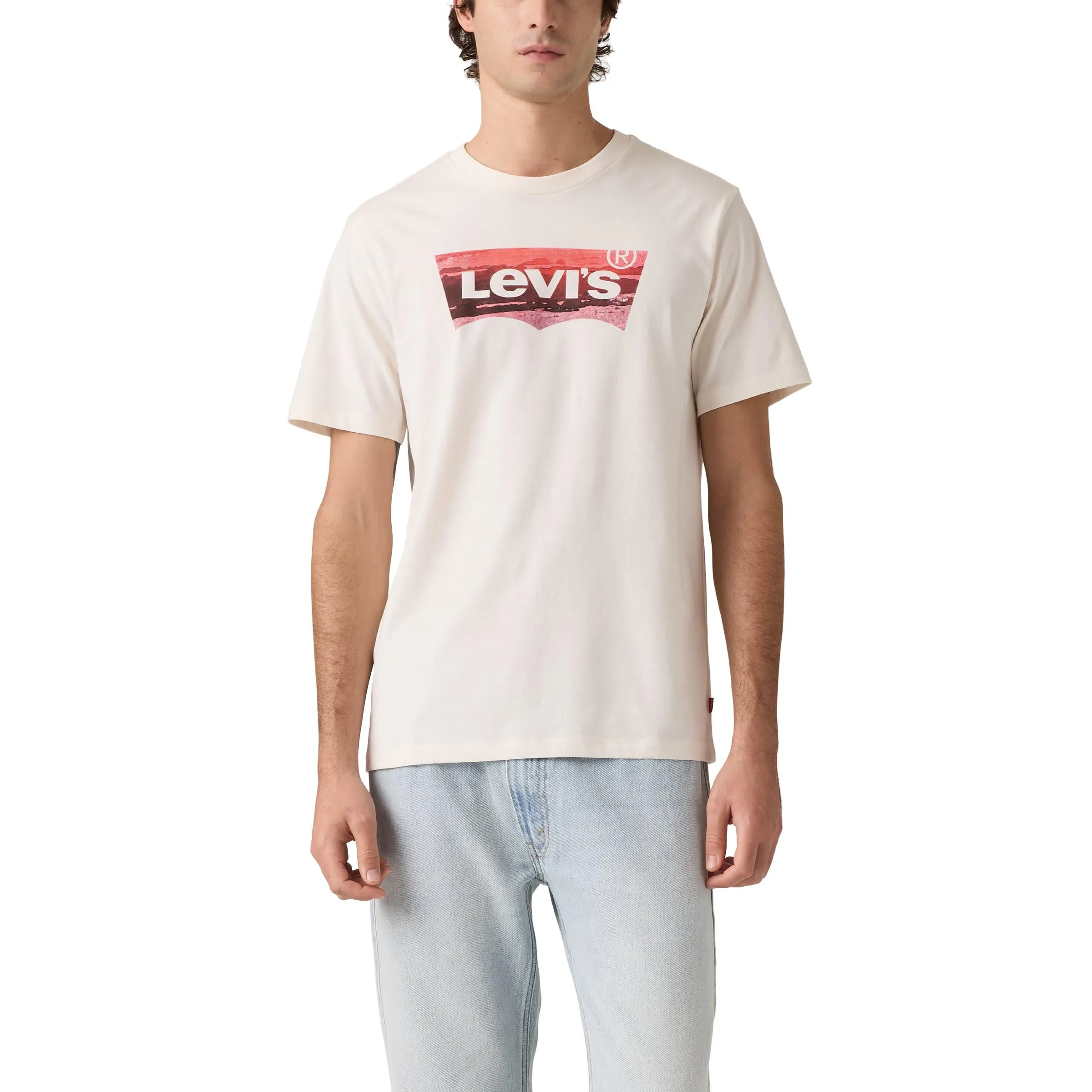 Levi's Graphic Crewneck Tee, Coastal Filled BW EG, Men's M - immagine 1