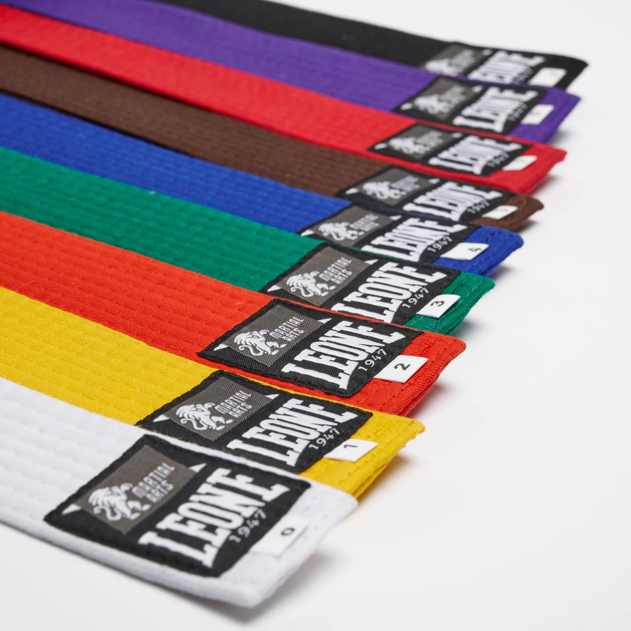 LEONE 1947 Cintura Karate & Judo Marrone, Taglia 5, AB402 - immagine 4