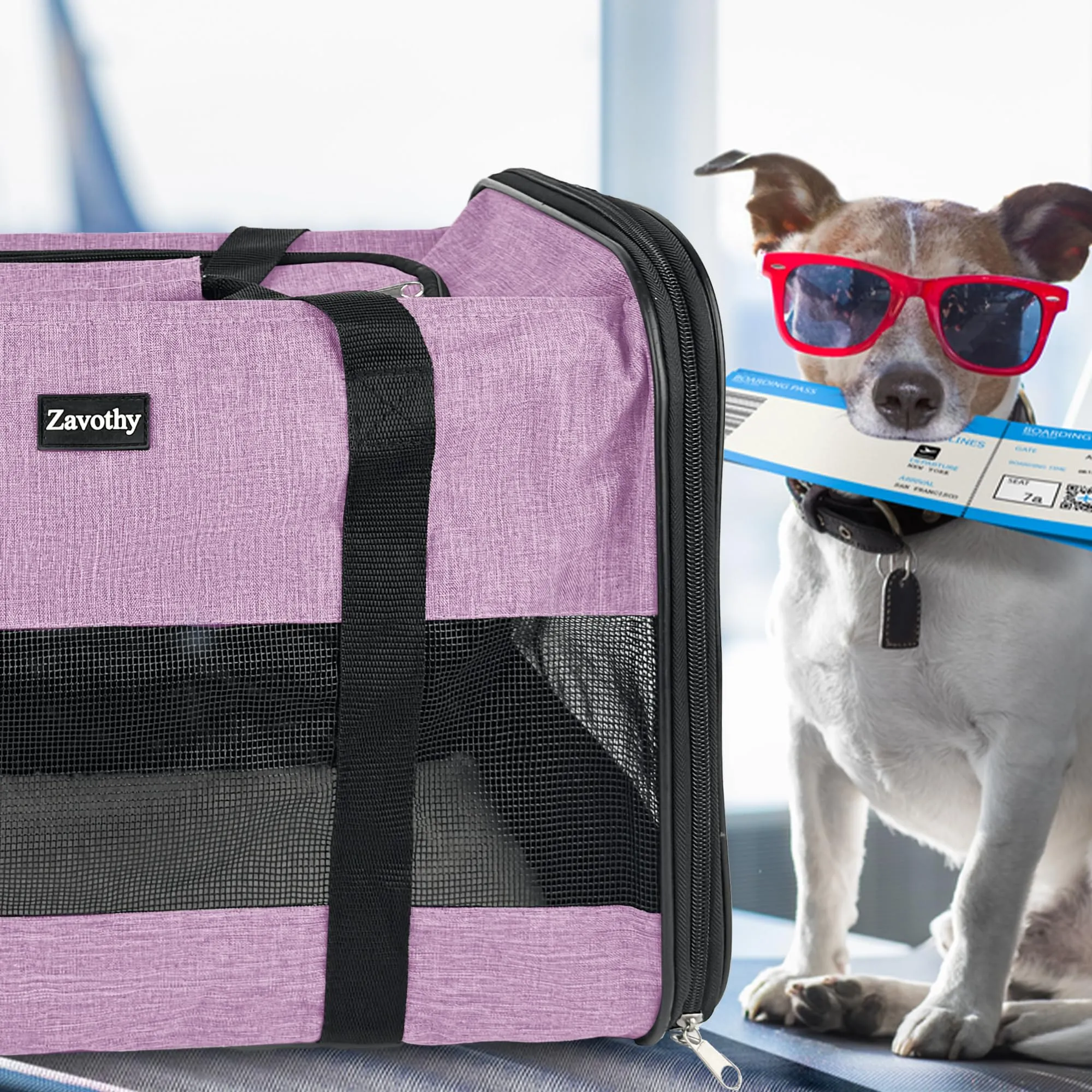 Zavothy Borsa Trasporto per Gatti e Cani, Traspirante e Pieghevole con Tracolla Regolabile e Materasso Rimovibile, Viola, L - immagine 9