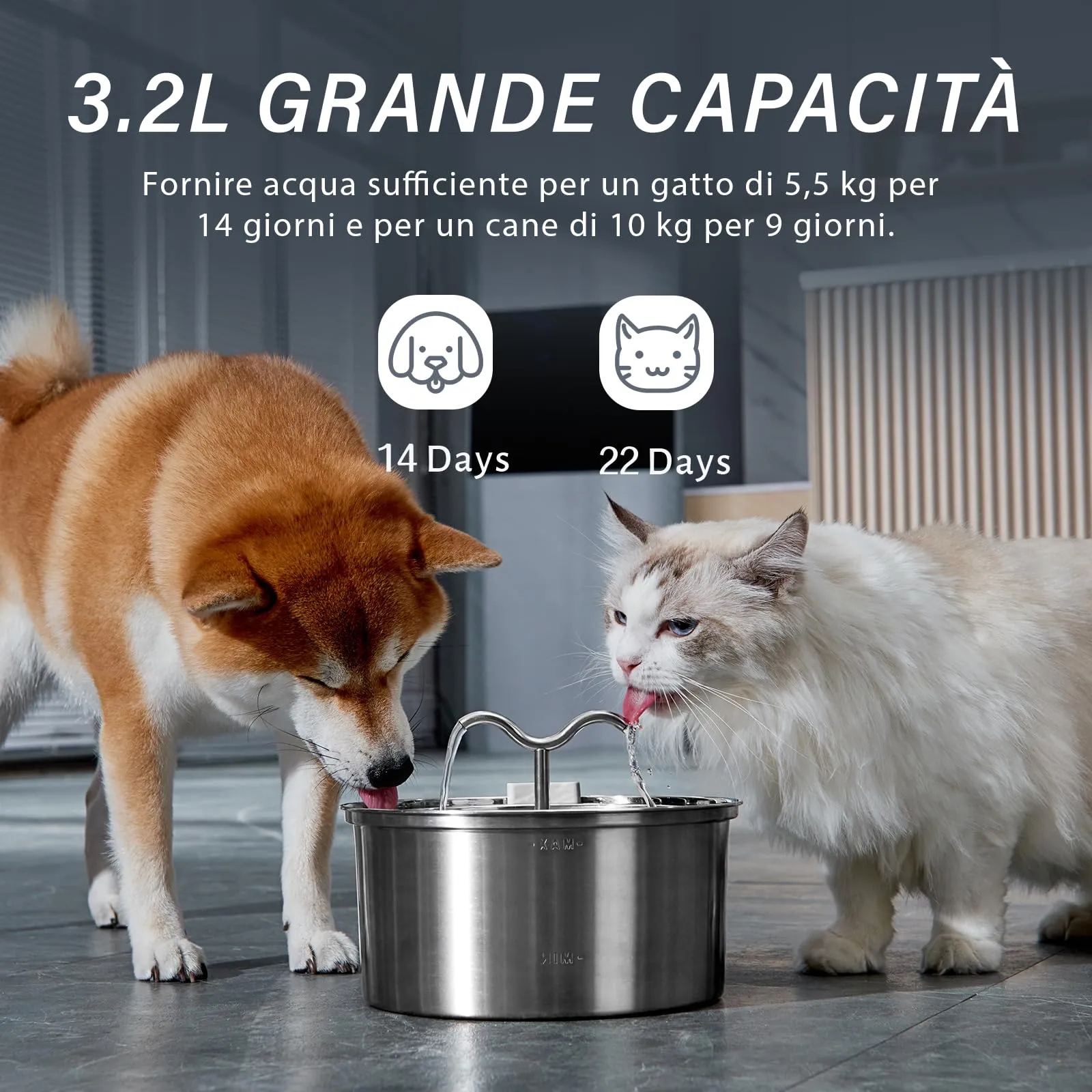 DOOOB Fontanella per Gatti in Acciaio, 3.2L - immagine 2
