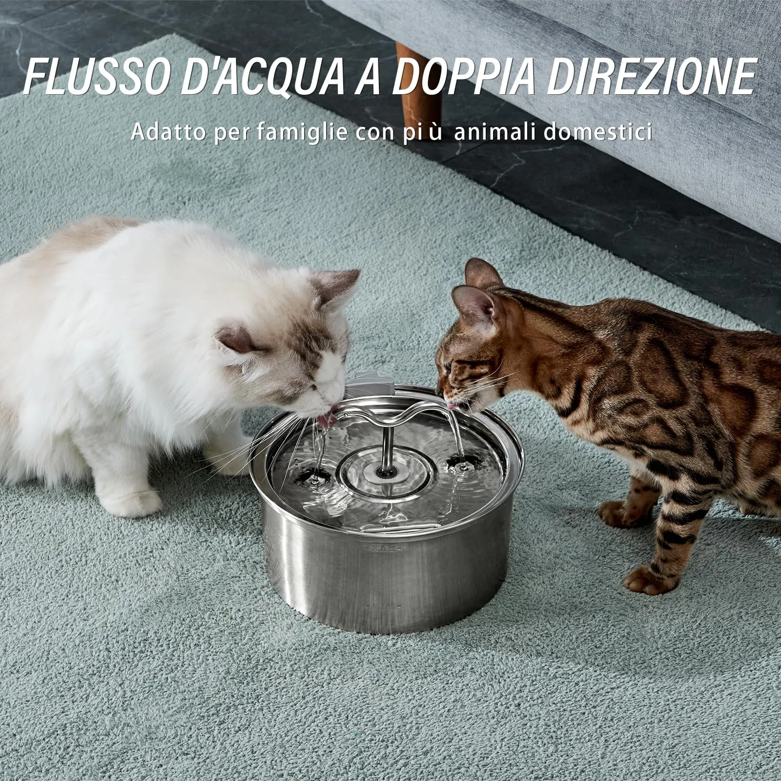 DOOOB Fontanella per Gatti in Acciaio, 3.2L - immagine 5
