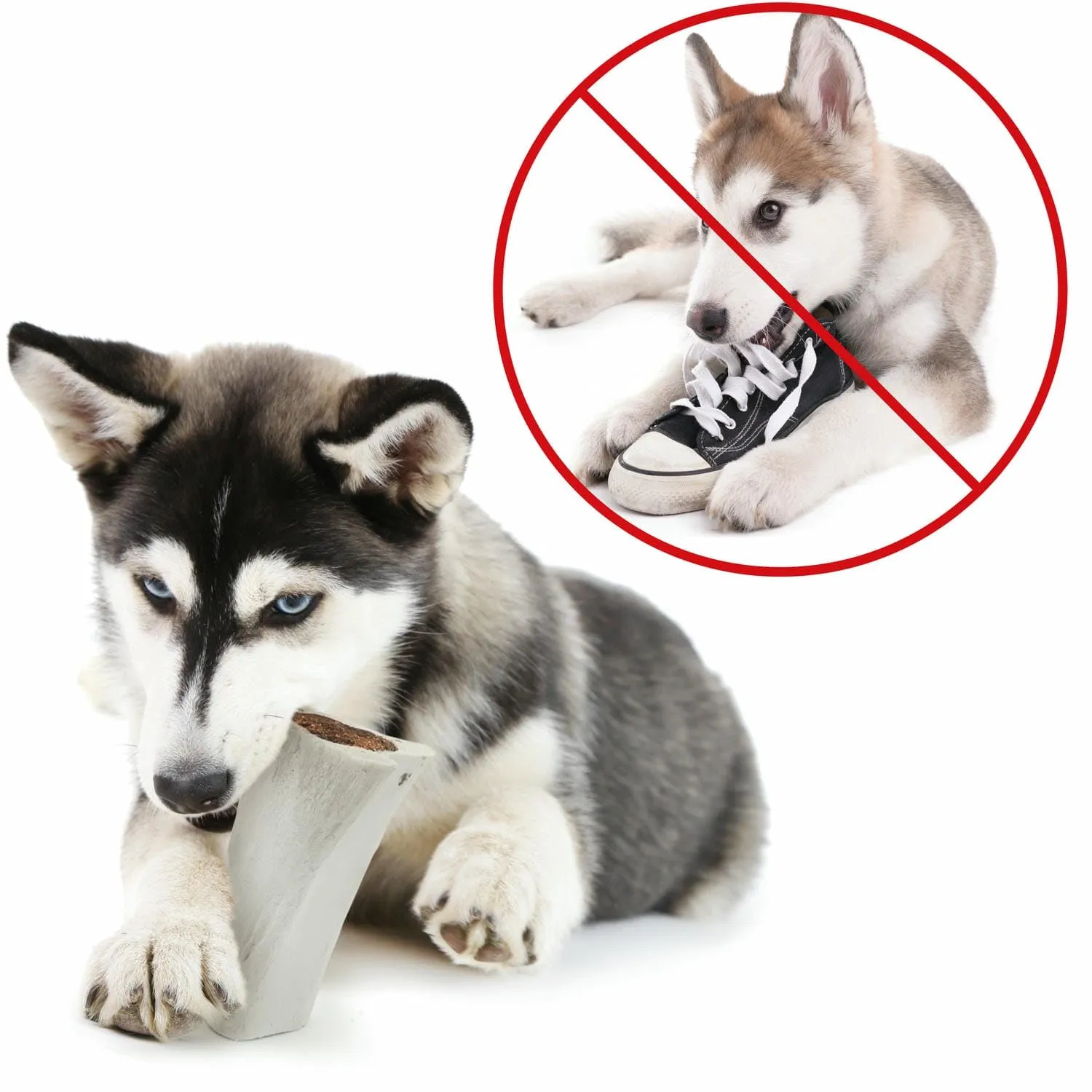 Mersjo Ossa di Manzo Naturali per Cani, 5 Pezzi, 150 g - immagine 9