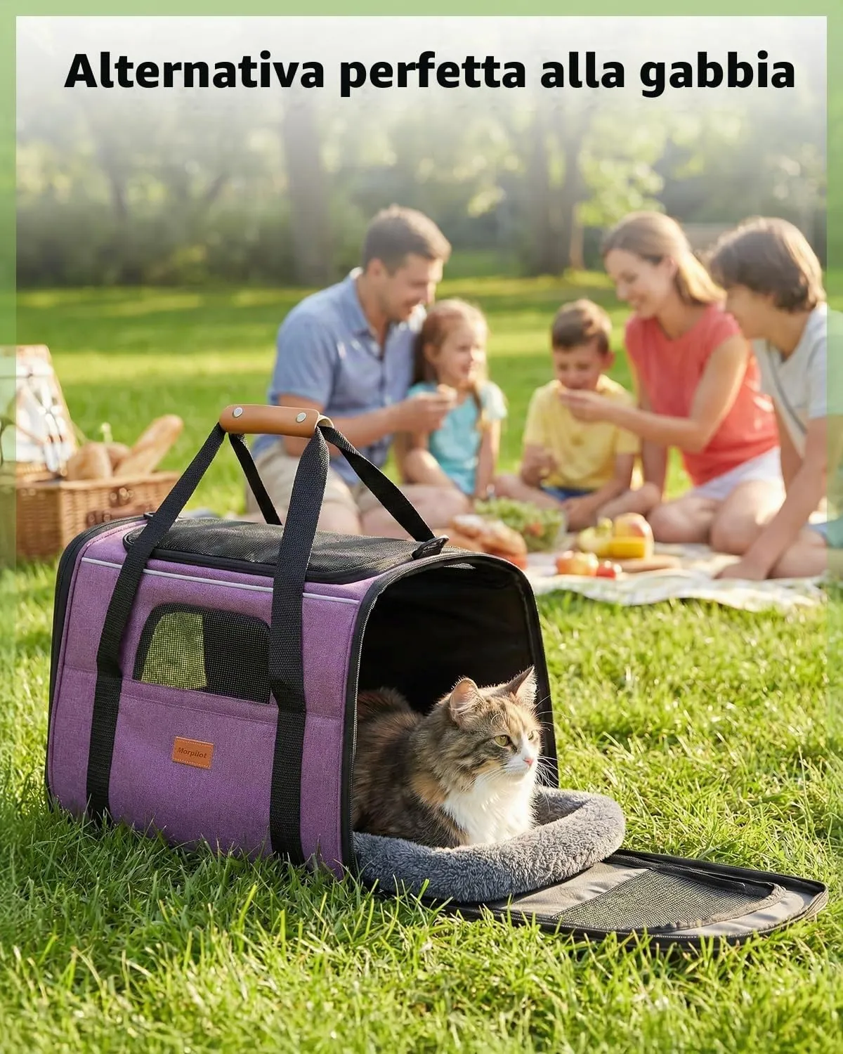 Morpilot Trasportino per Gatti e Cani, 44 x 31 x 34 cm, Borsa da Viaggio Pieghevole fino a 6 kg, Viola Chiaro - immagine 7