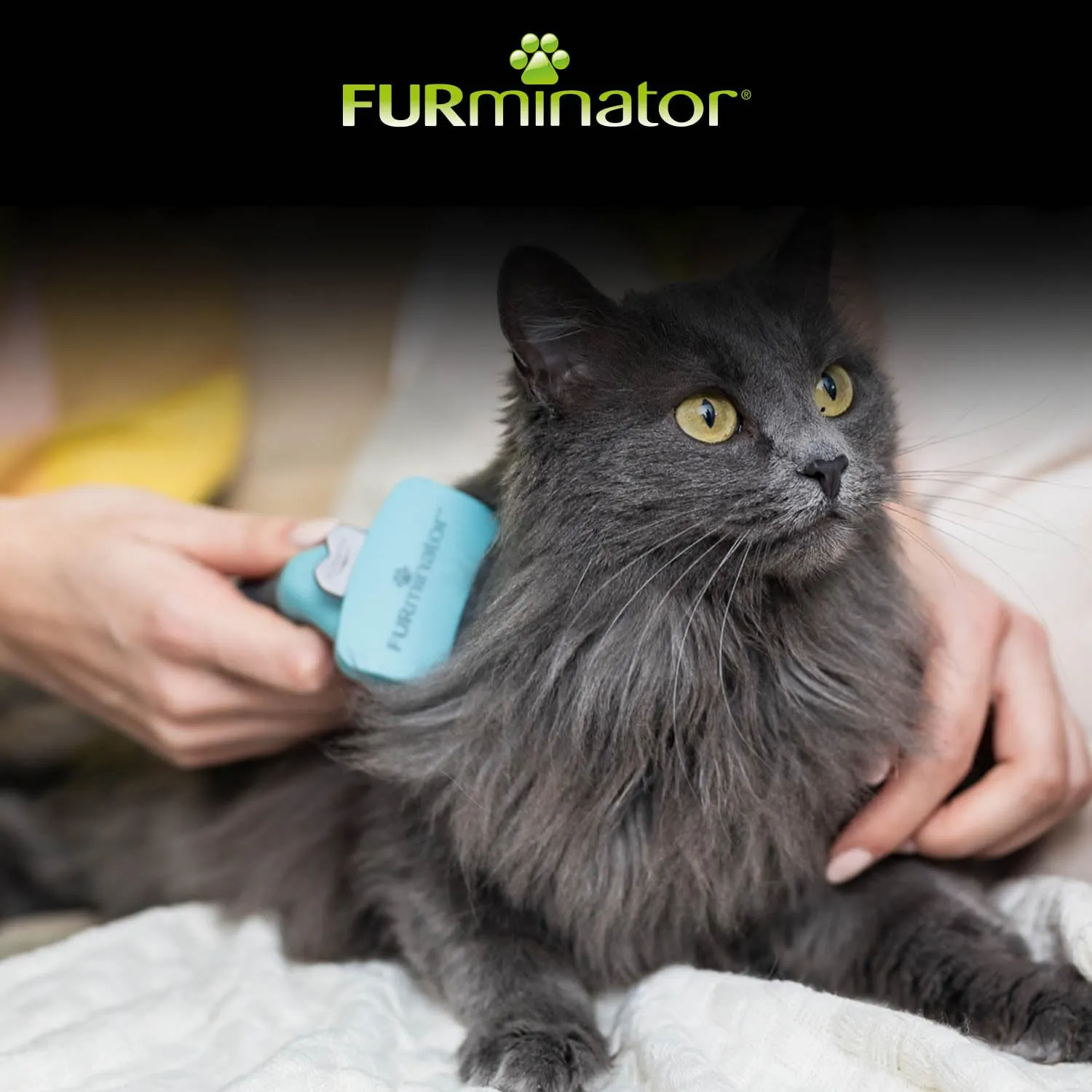 FURminator deShedding Tool, Spazzola per Gatti Taglia S, Pelo Lungo - immagine 6