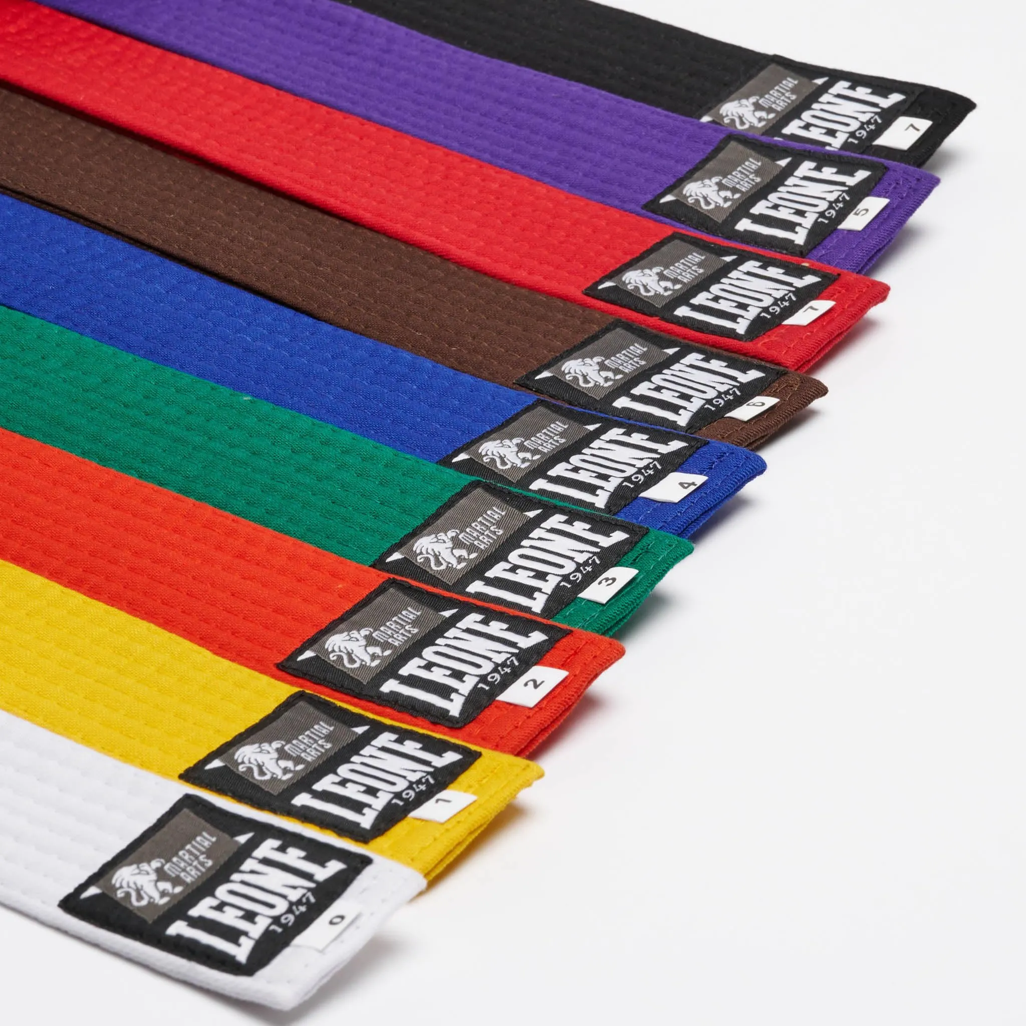LEONE 1947 Cintura Karate & Judo Viola, Unisex, Size 2, AB402 - immagine 2