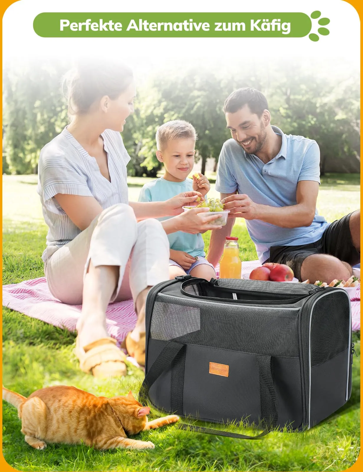 Morpilot Trasportino per Gatti e Cani, 40x26x28cm, Borsa da Viaggio Pieghevole fino a 6 kg con Guinzaglio Interno - immagine 8