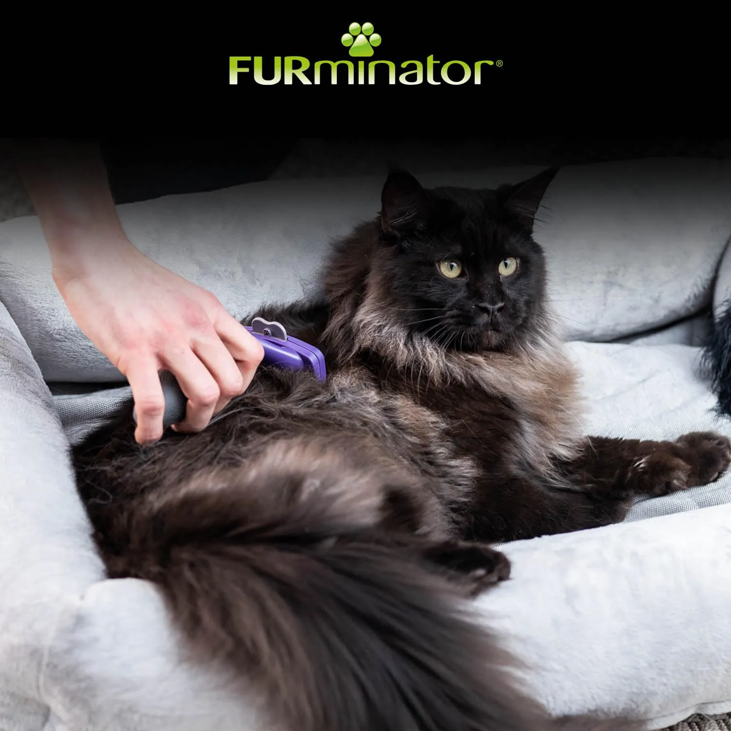 FURminator deShedding Tool, Spazzola per Gatti Taglia M/L, Pelo Lungo - immagine 6