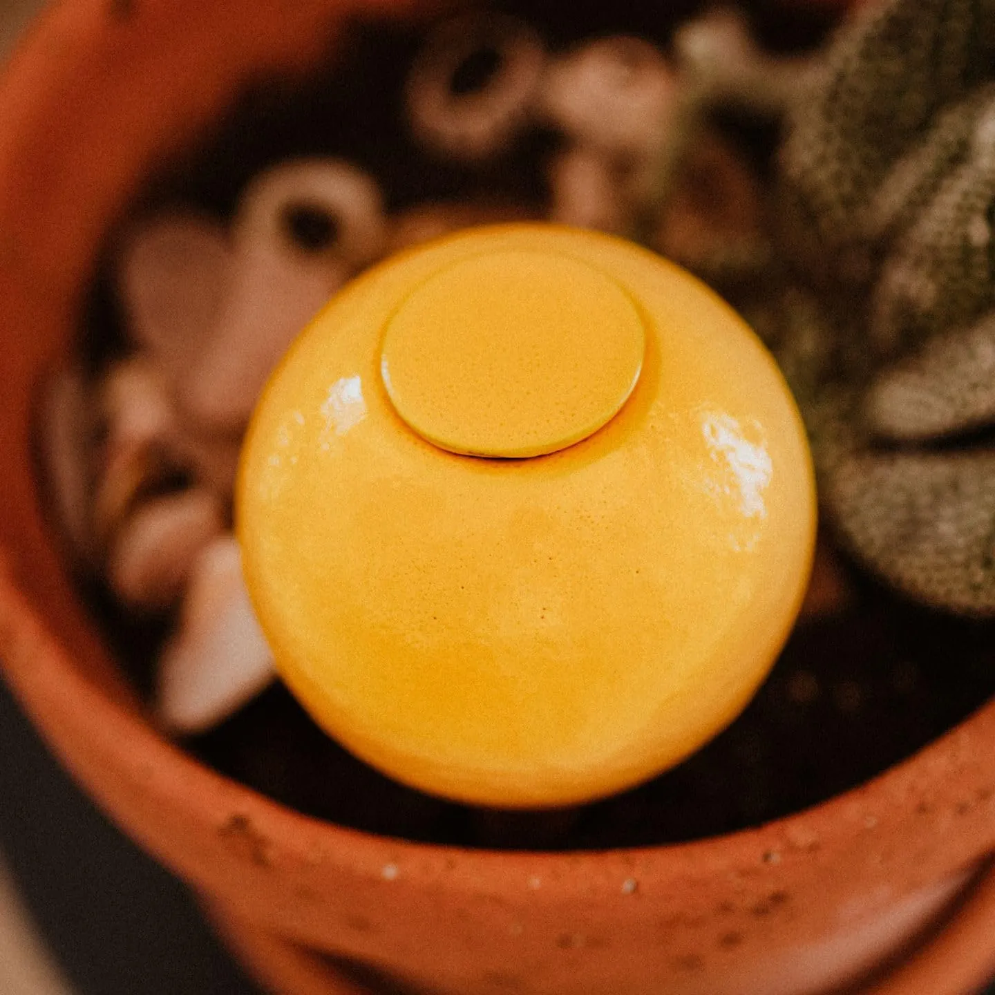 Ollas Lutton Mini Olla Terracotta da Piantare 25cl - Giallo - immagine 2