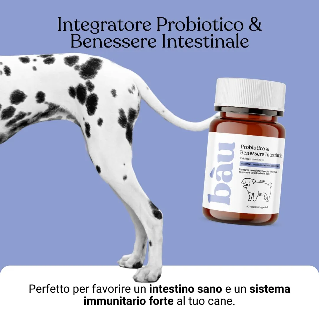 Bau Probiotici e Fermenti Lattici per Cani, Supporto Gastrointestinale e Digestivo, 60 Capsule - immagine 4