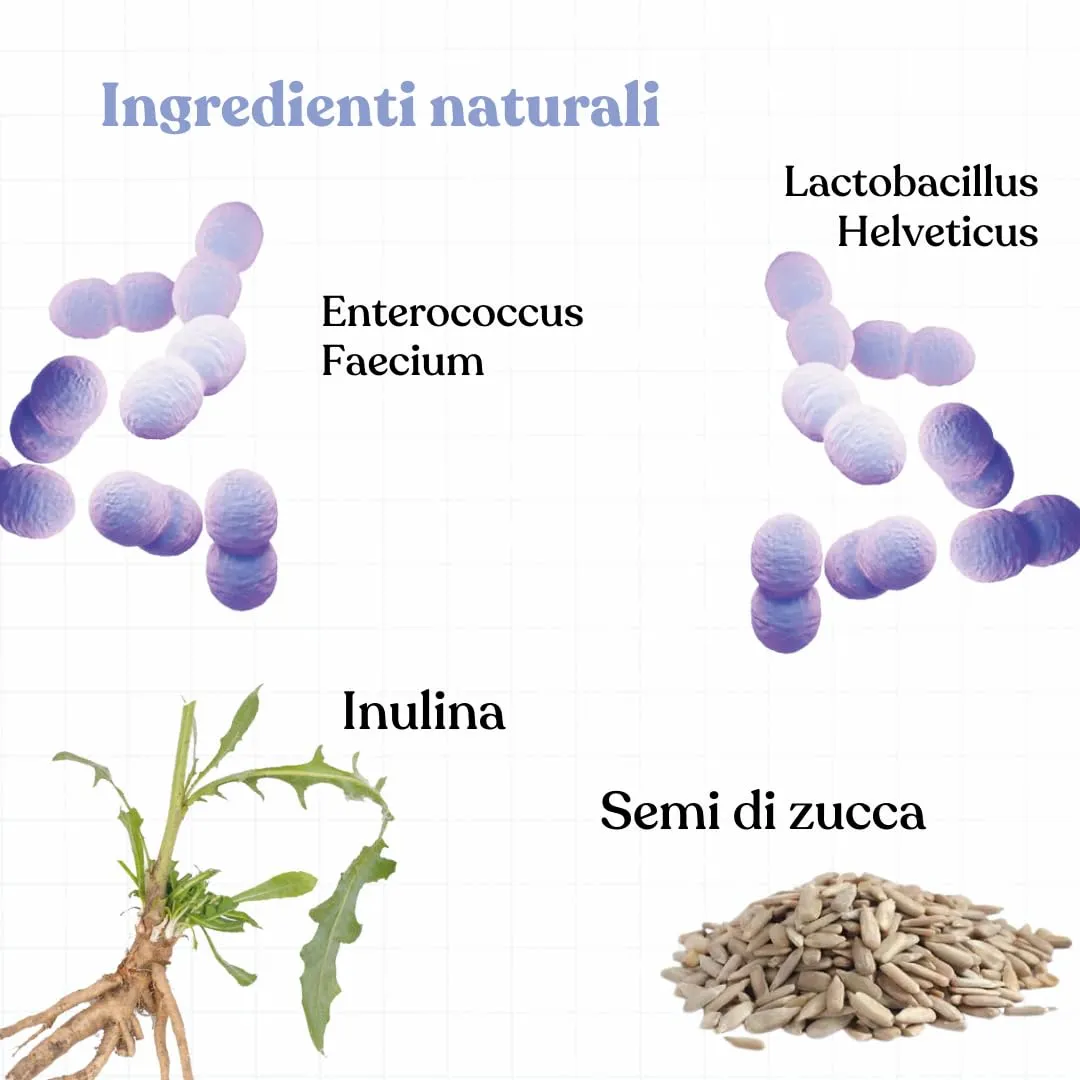 Bau Probiotici e Fermenti Lattici per Cani, Supporto Gastrointestinale e Digestivo, 60 Capsule - immagine 5
