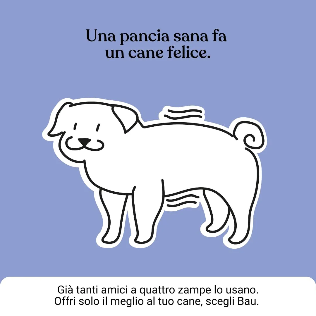 Bau Probiotici e Fermenti Lattici per Cani, Supporto Gastrointestinale e Digestivo, 60 Capsule - immagine 9