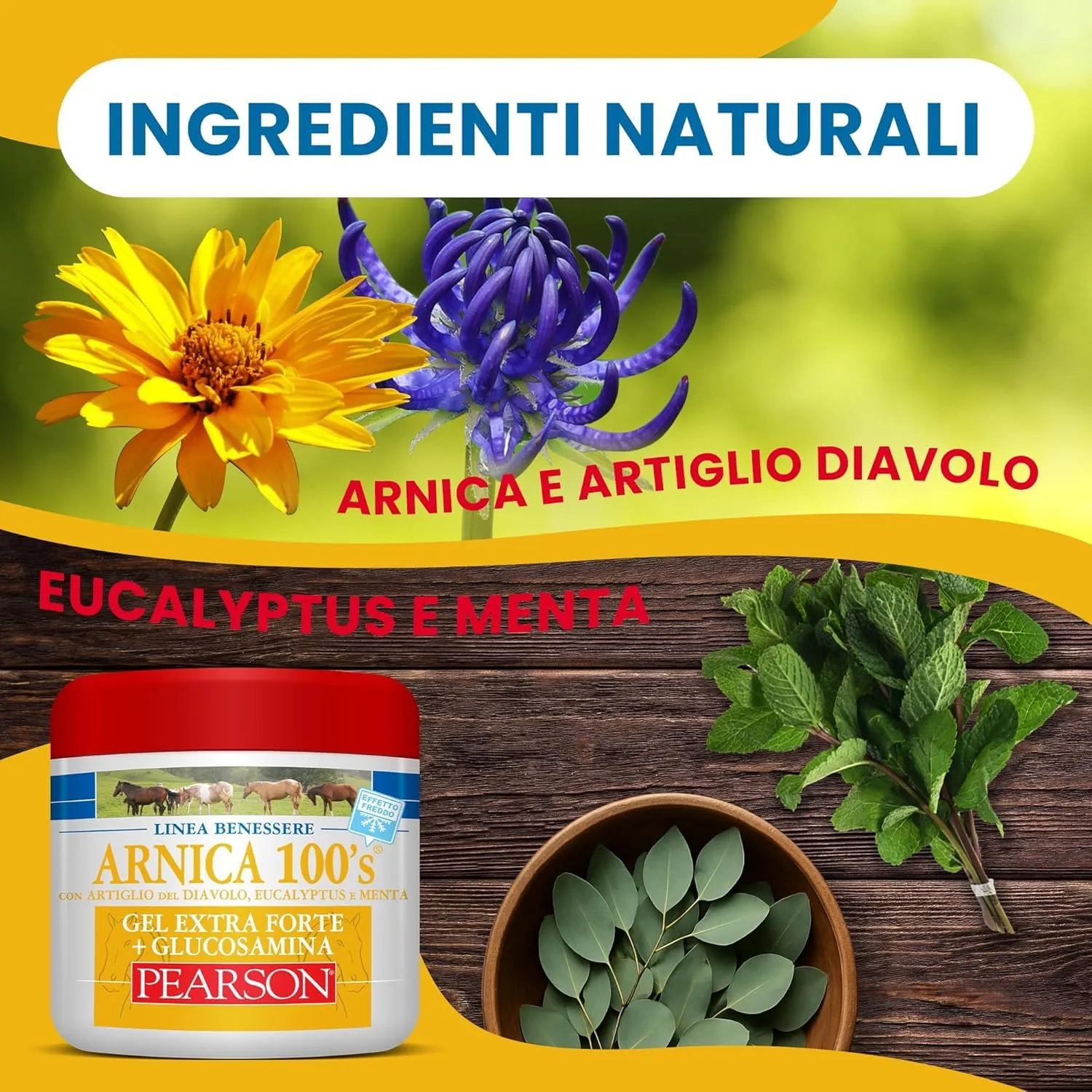 Arnica 100's Gel Extraforte Raffreddante per Cavalli Pearson, 500 ML - immagine 2