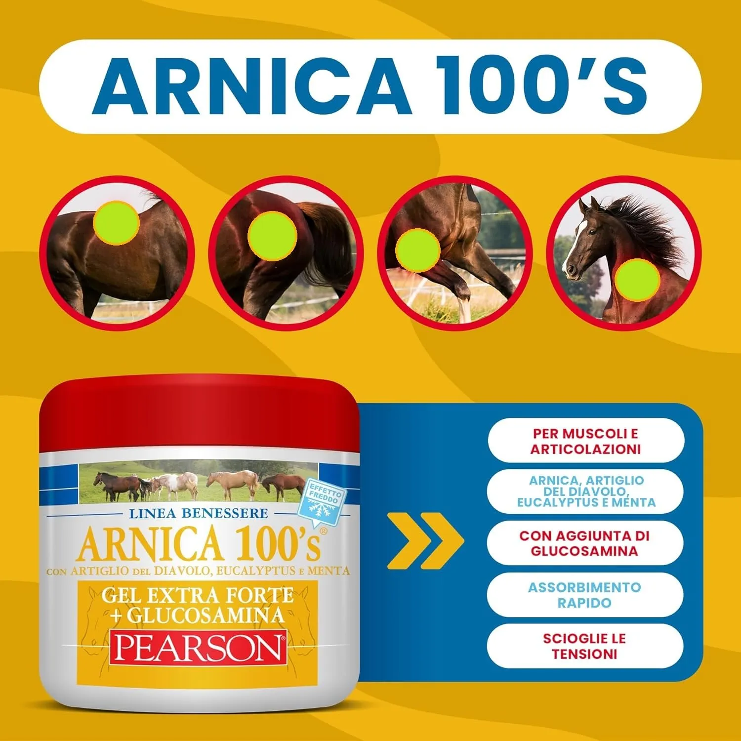 Arnica 100's Gel Extraforte Raffreddante per Cavalli Pearson, 500 ML - immagine 3
