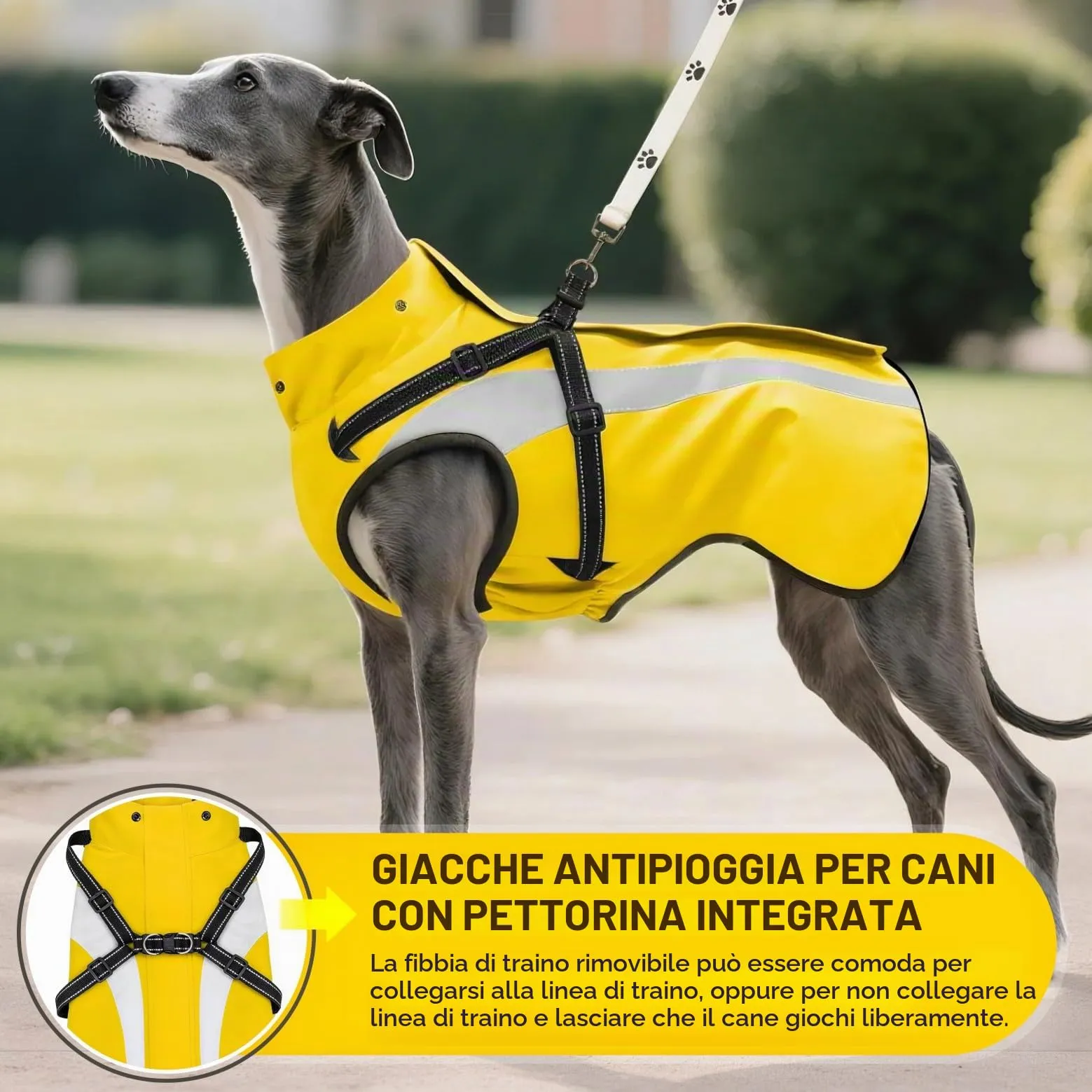 Oslueidy Impermeabile per Cani con Cappuccio Rimovibile, Giallo, S - immagine 4