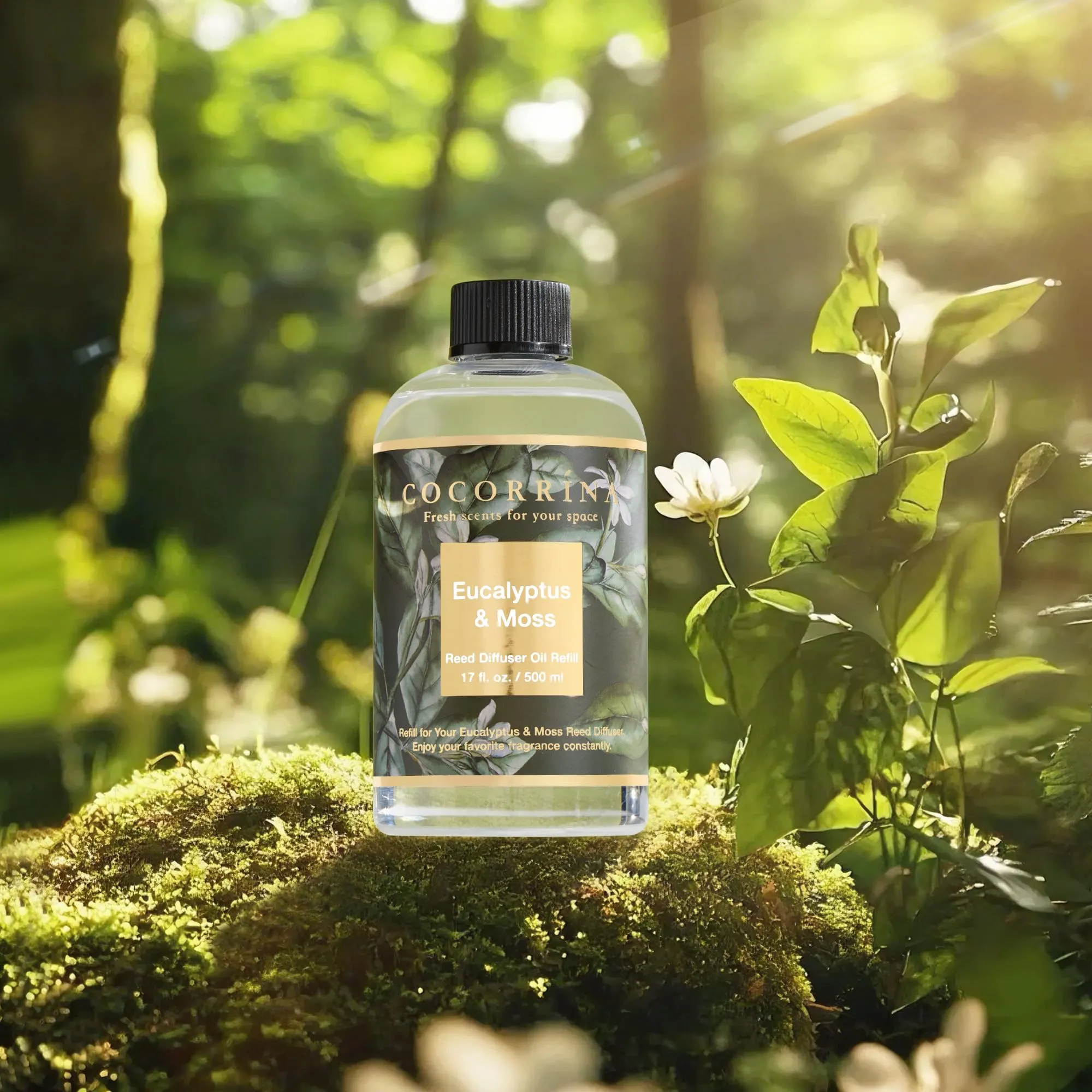 COCORRÍNA Ricarica Diffusore Ambiente Eucalyptus & Moss, 500ml con 8 Bastoncini - immagine 4