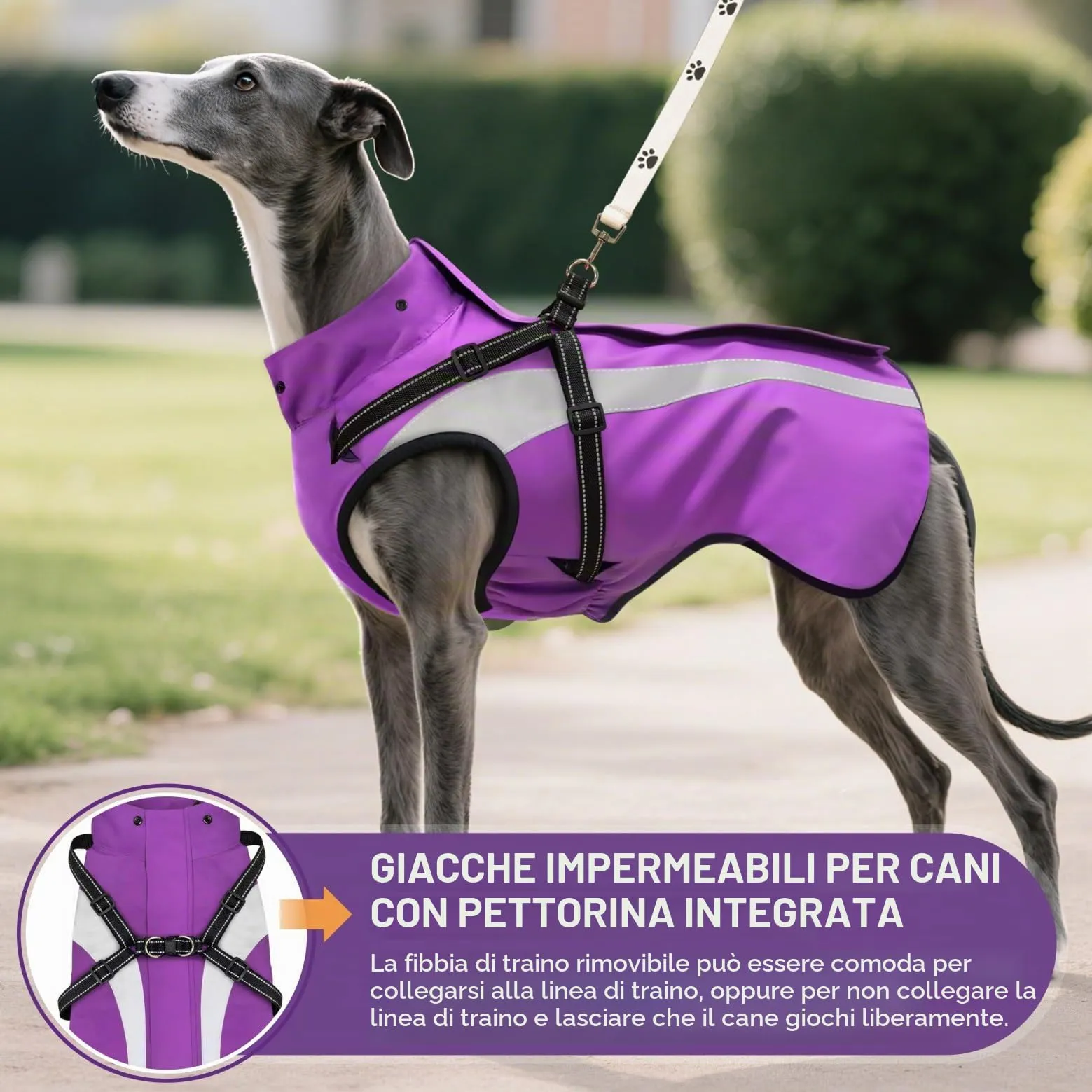 Oslueidy Impermeabile per Cani con Cappuccio Rimovibile, Violetta, M - immagine 4