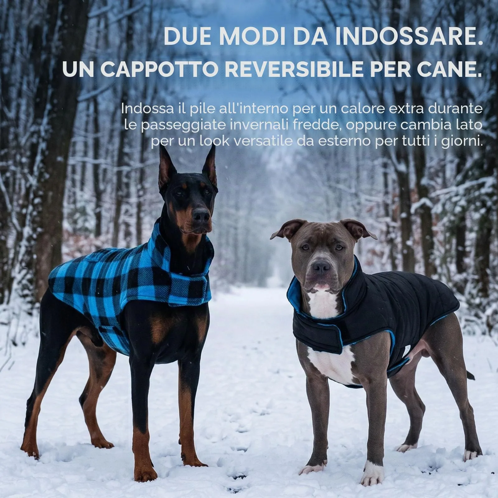 ASENKU Cappotto Cane Impermeabile Invernale Reversibile Antivento, Taglia XS, Blu - immagine 8