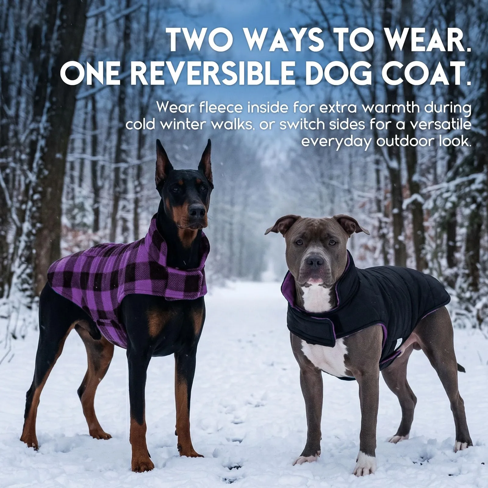 ASENKU Cappotto Invernale Reversibile Impermeabile per Cani, Viola, X-Large - immagine 8