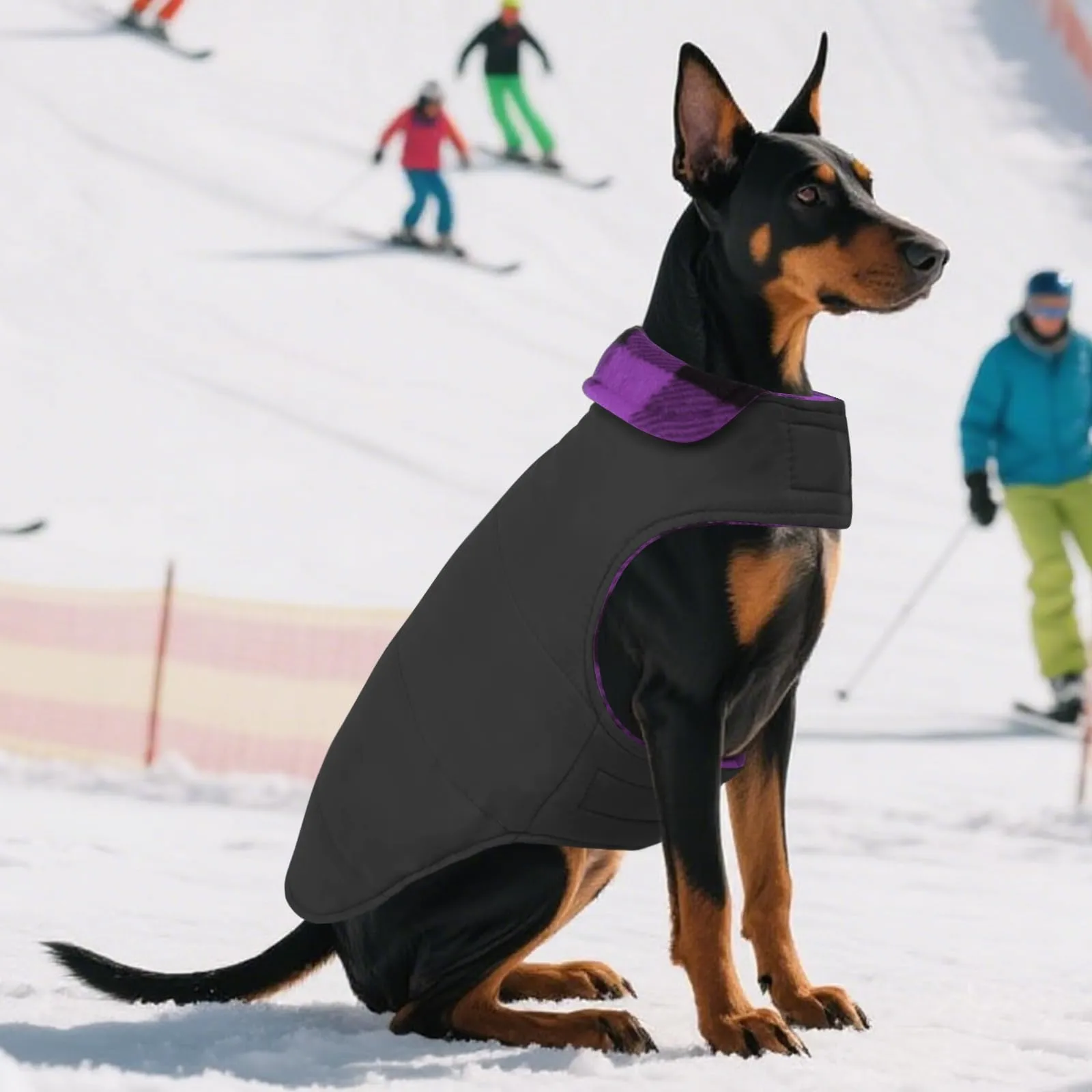 ASENKU Cappotto Invernale per Cani a Quadretti Reversibile e Impermeabile - immagine 9