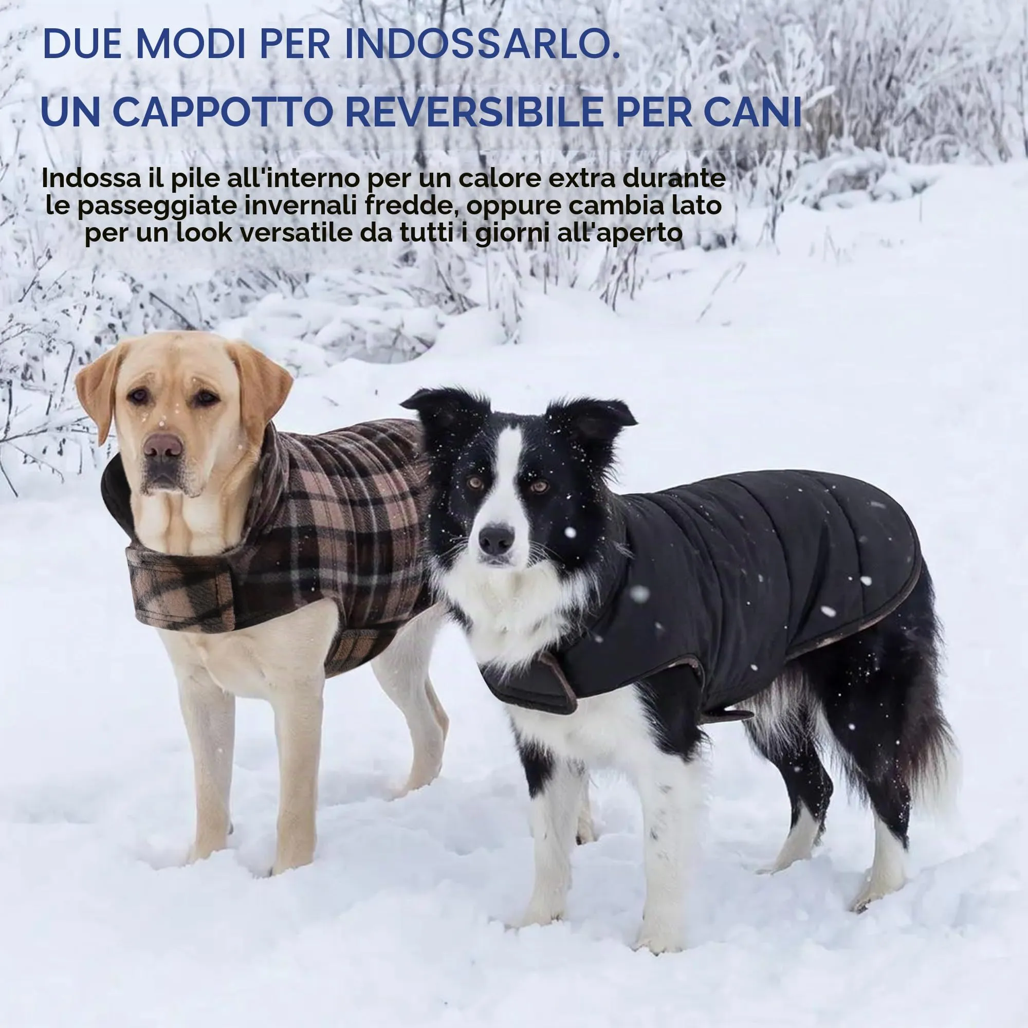 ASENKU Cappotto Cane Impermeabile Invernale Reversibile, Taglia L - immagine 8