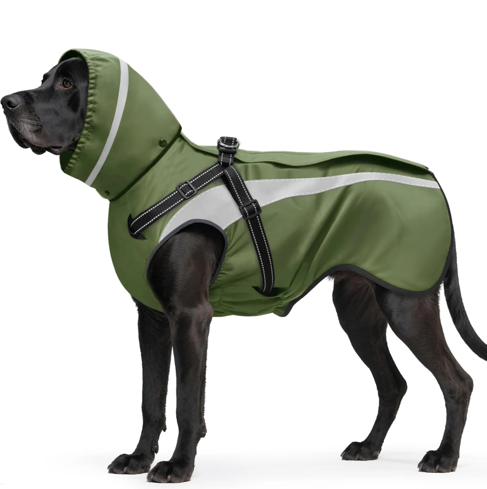 Oslueidy Impermeabile per Cani con Cappuccio Rimovibile, Verde, S - immagine 1