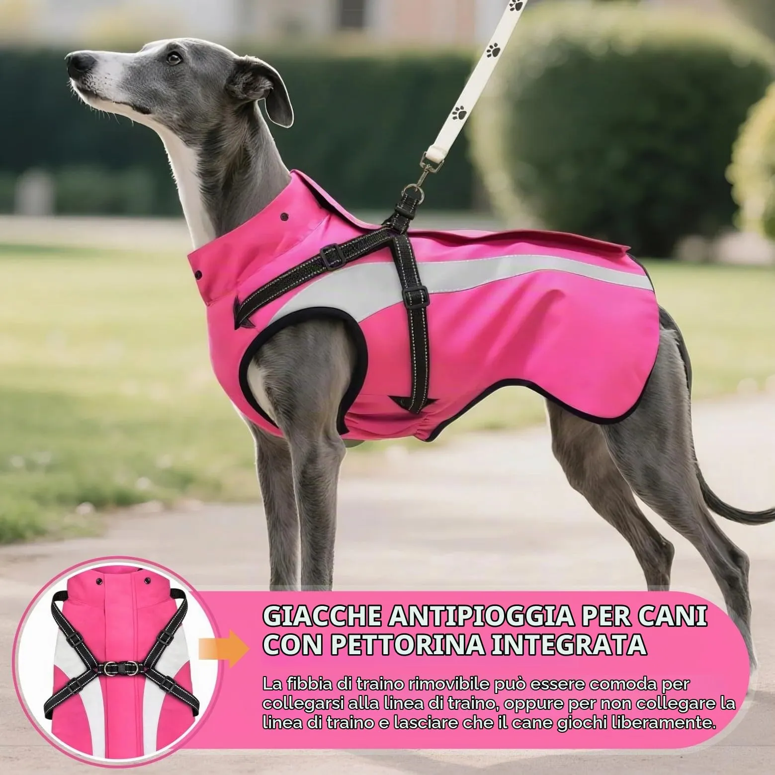 Oslueidy Impermeabile per Cani con Cappuccio Rimovibile e Cinturina Riflettente (Rosa, M) - immagine 6