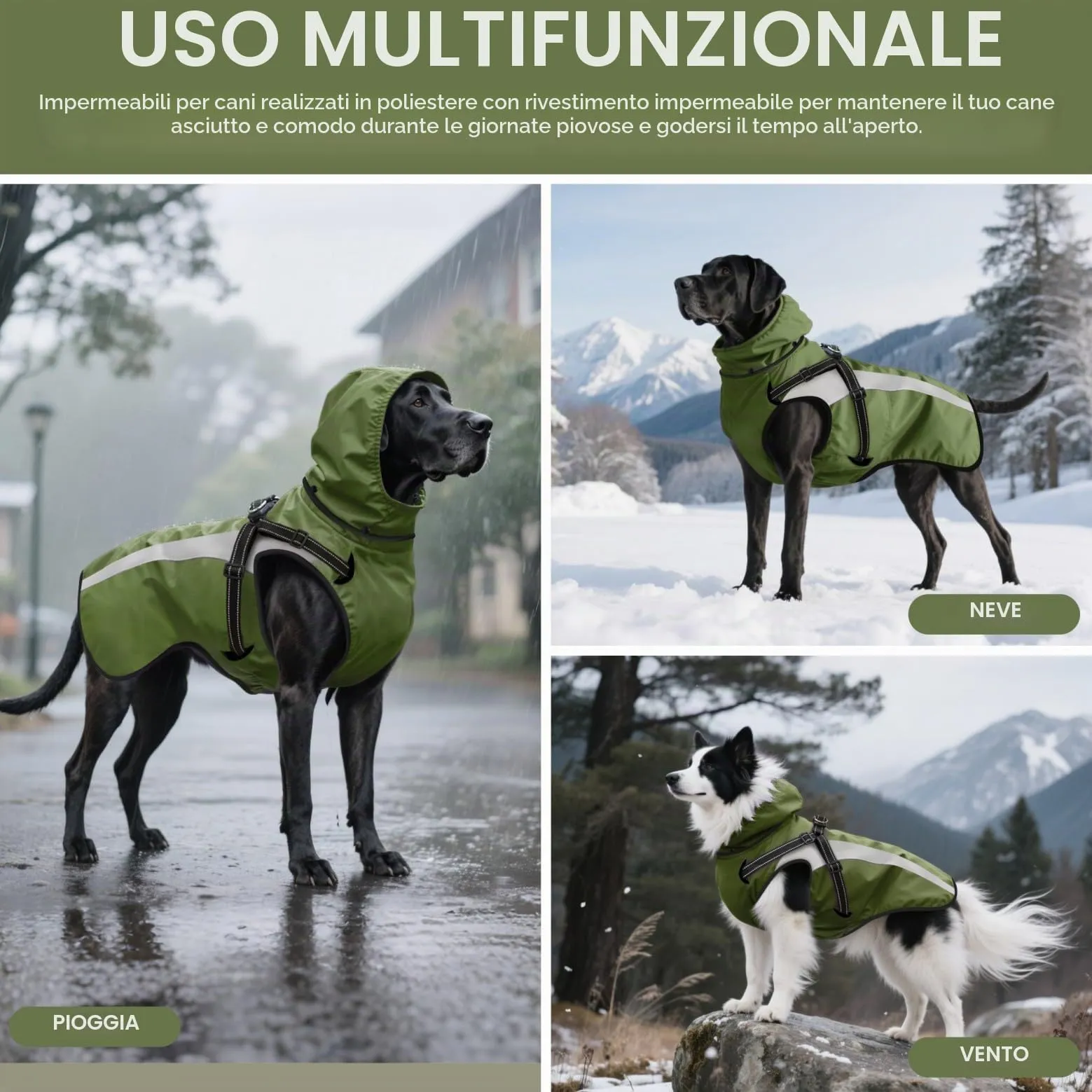 Oslueidy Impermeabile per Cani con Cappuccio Rimovibile, Verde, M - immagine 3