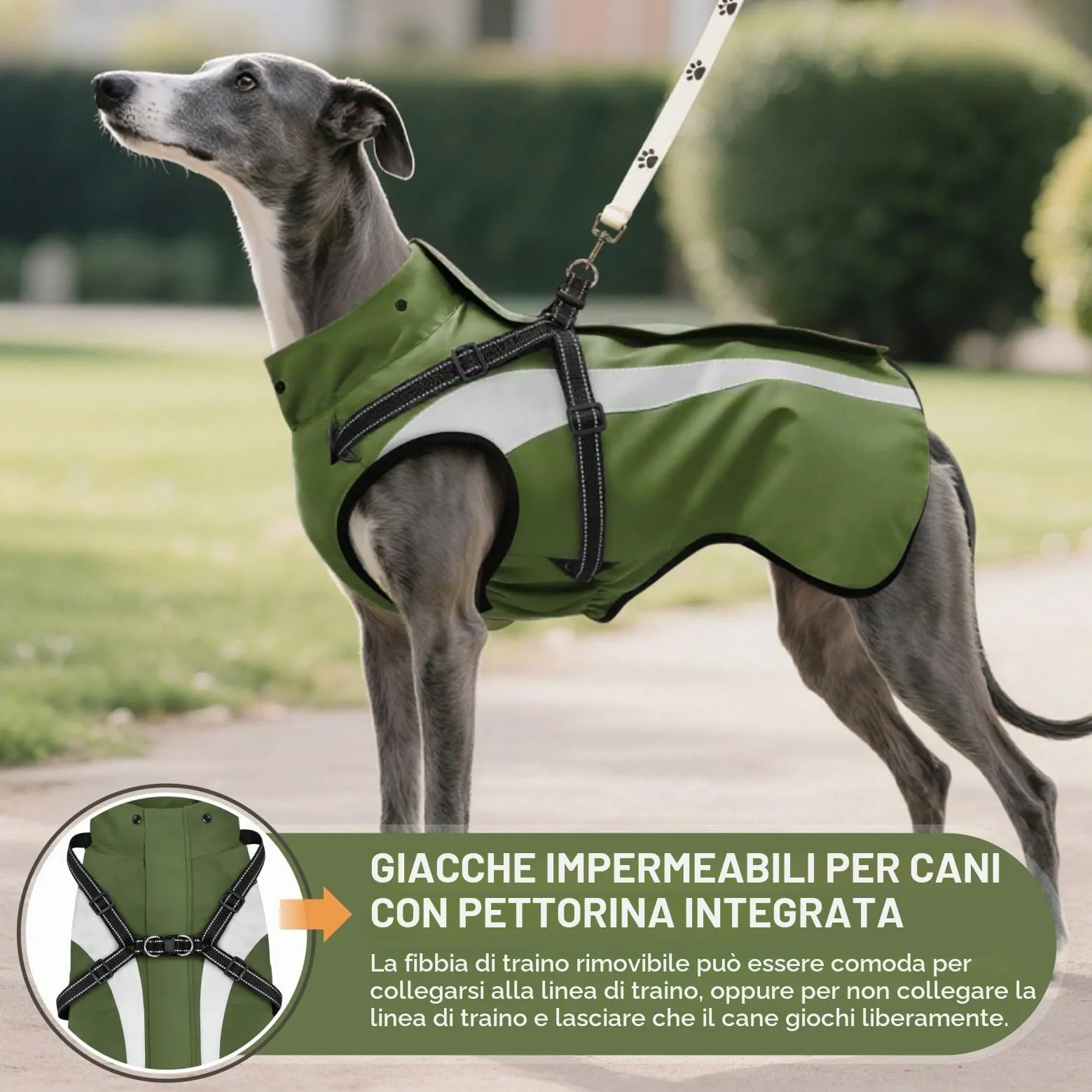 Oslueidy Impermeabile per Cani con Cappuccio Rimovibile, Verde, M - immagine 4