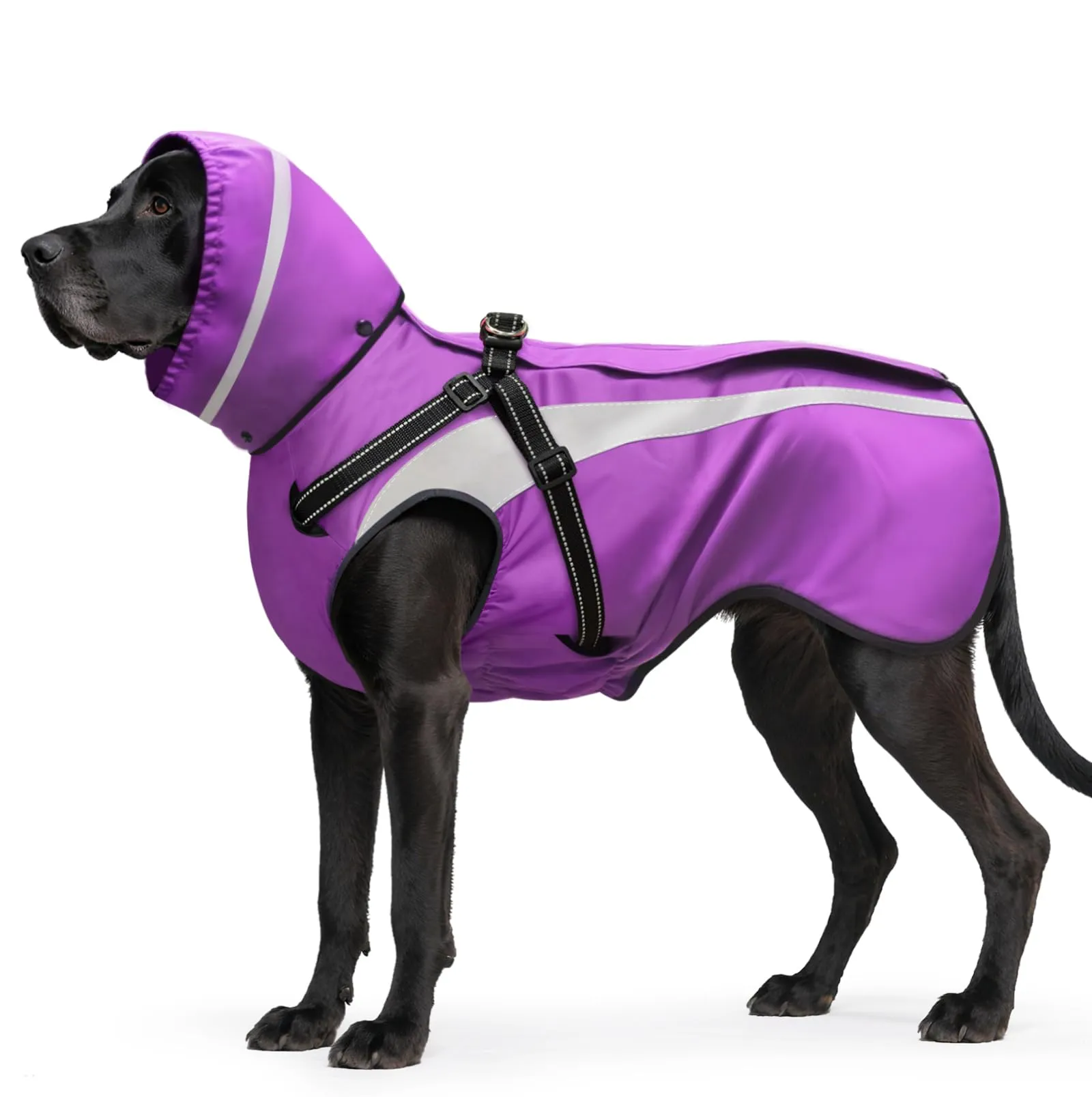 Oslueidy Impermeabile per Cani con Cappuccio Rimovibile, Violetta, L - immagine 1