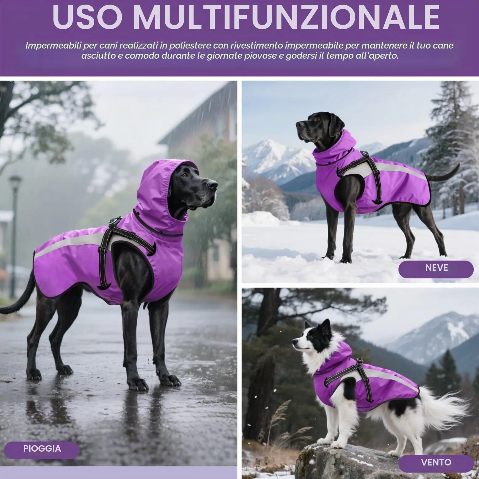 Oslueidy Impermeabile per Cani con Cappuccio Rimovibile, Violetta, L - immagine 3
