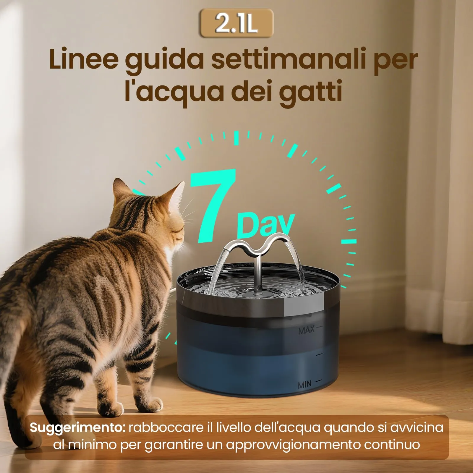 DOOOB Fontanella per Gatti, 2.1L/71oz - immagine 6