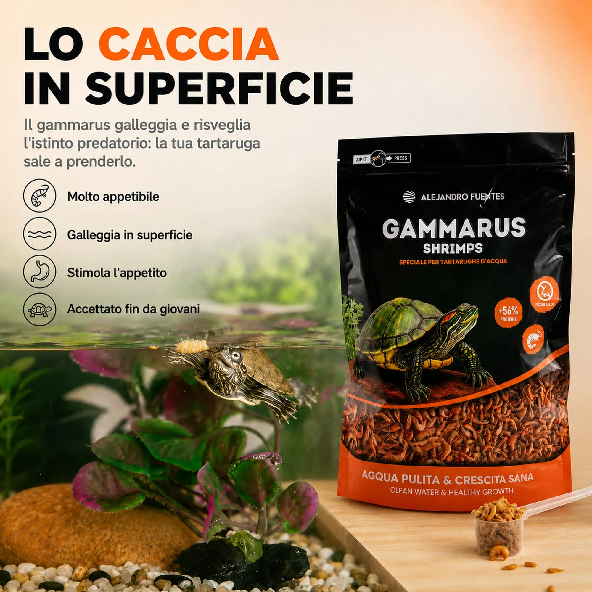 Alejandro Fuentes Gamberetti e Gammarus per Tartarughe d'Acqua 300g - immagine 4