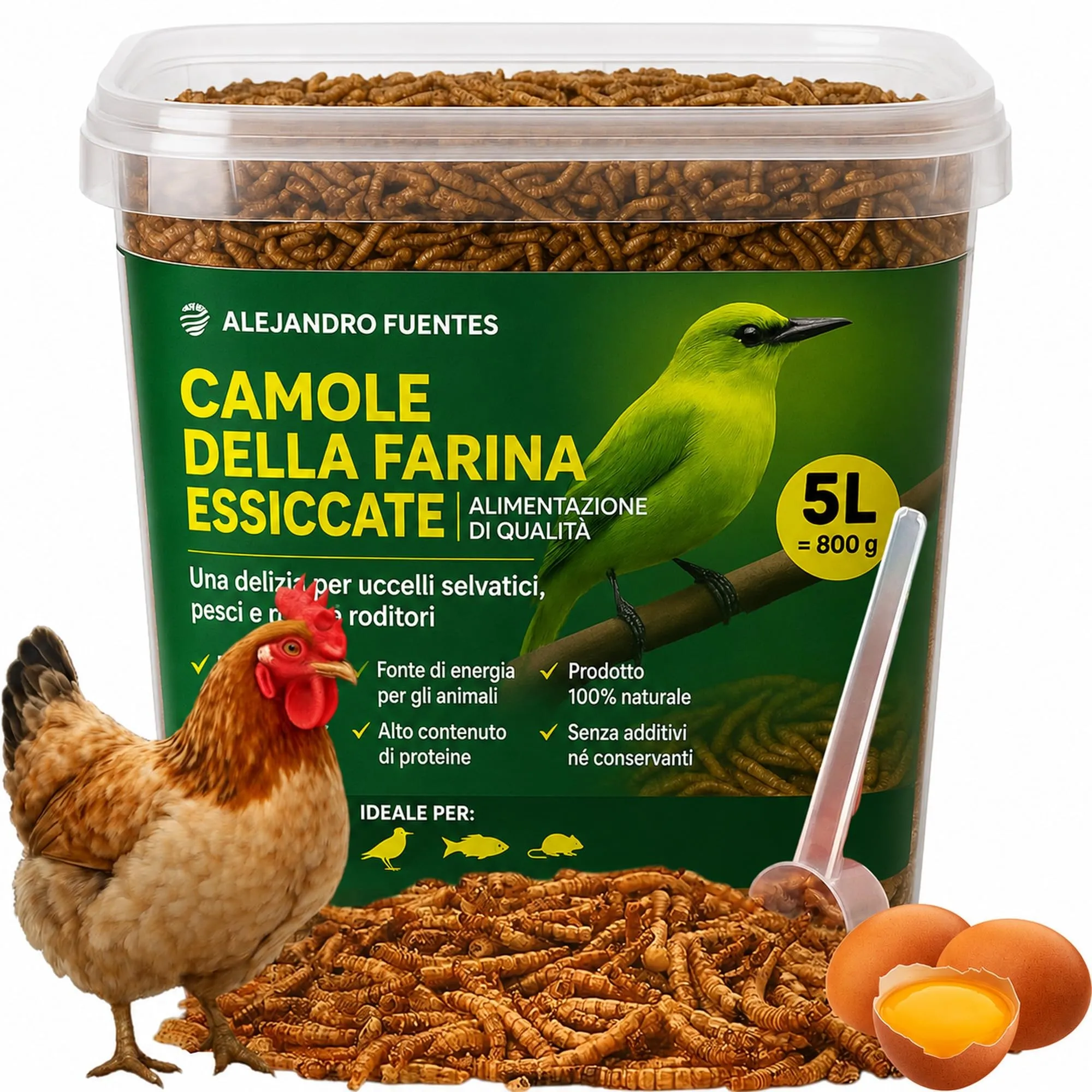 ALEJANDRO FUENTES Camole della Farina Essiccate Tenebrio Molitor 52% Proteine, 800g - immagine 1