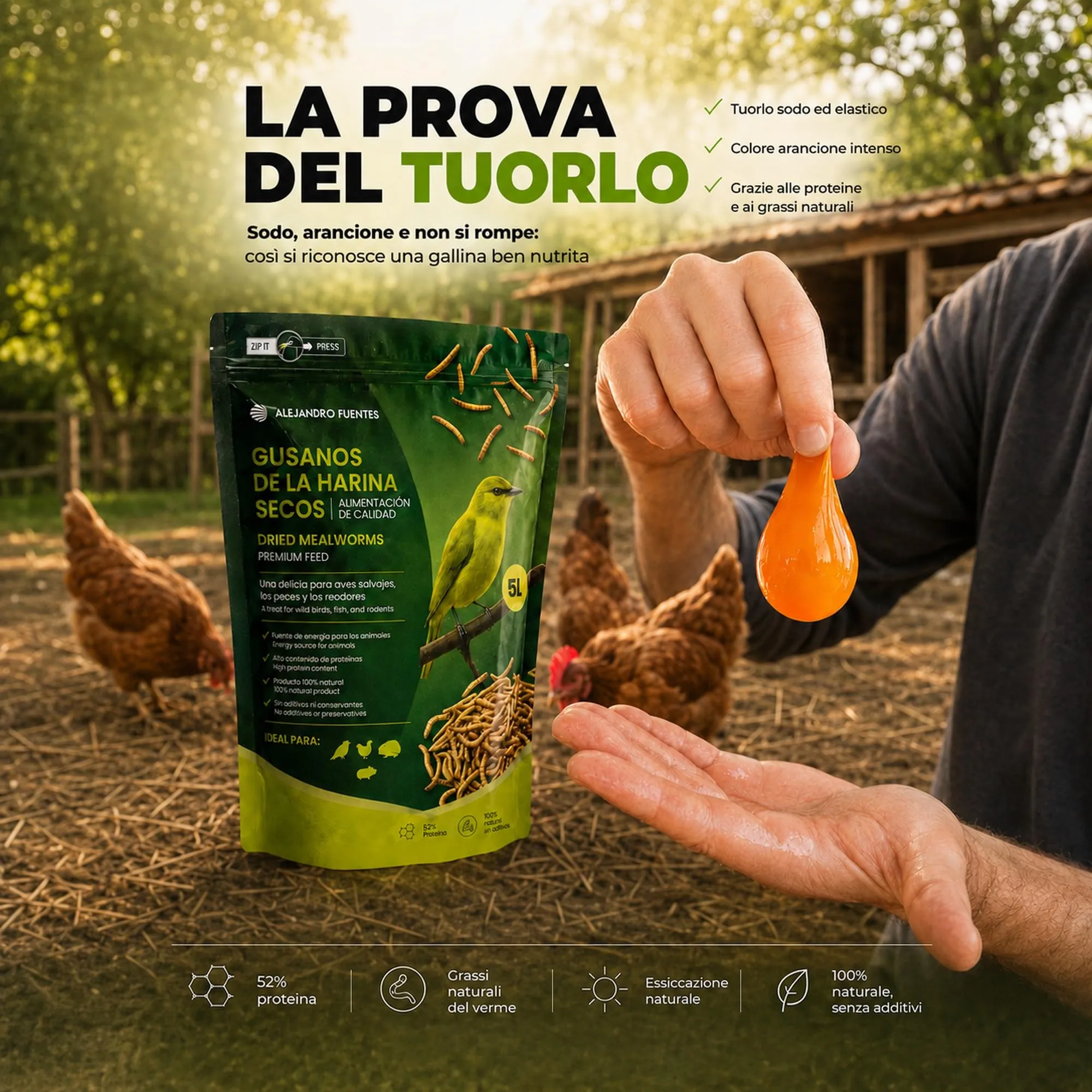 ALEJANDRO FUENTES Camole della Farina Essiccate Tenebrio Molitor 52% Proteine, 800g - immagine 3