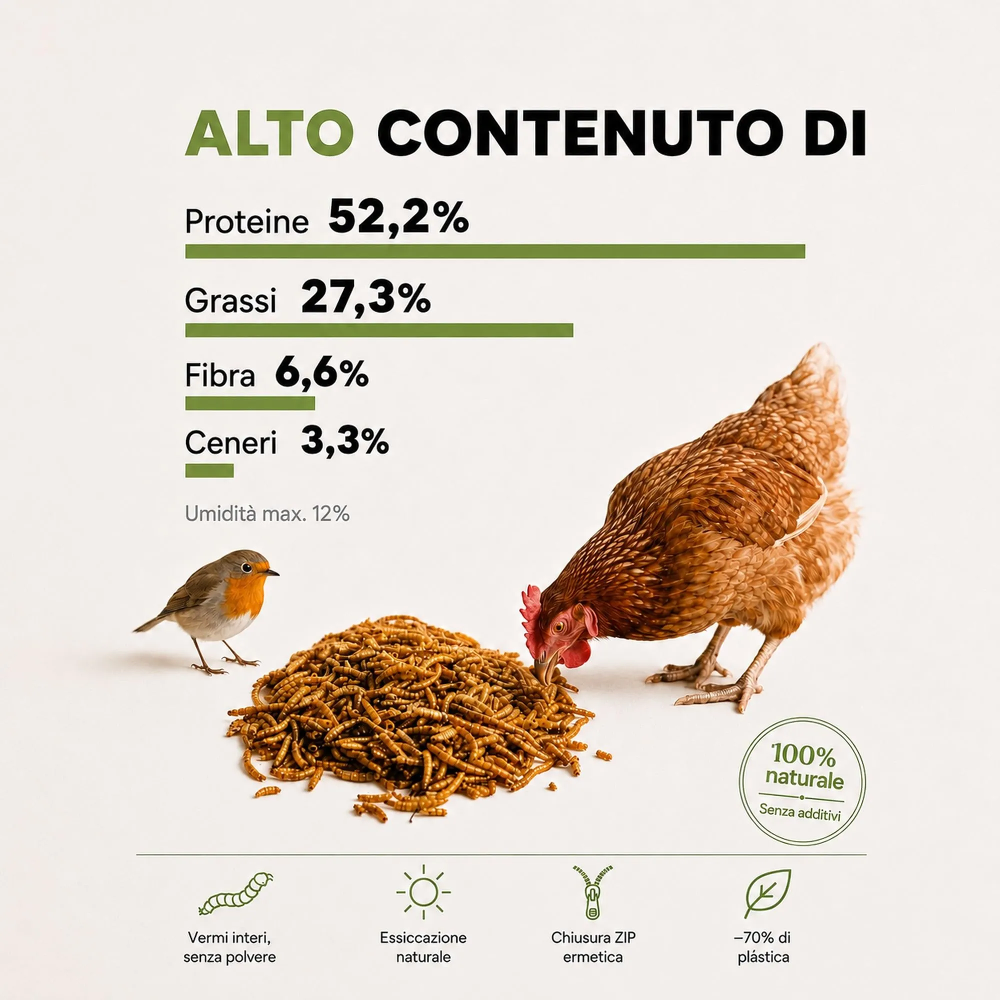 ALEJANDRO FUENTES Camole della Farina Essiccate Tenebrio Molitor 52% Proteine, 800g - immagine 5