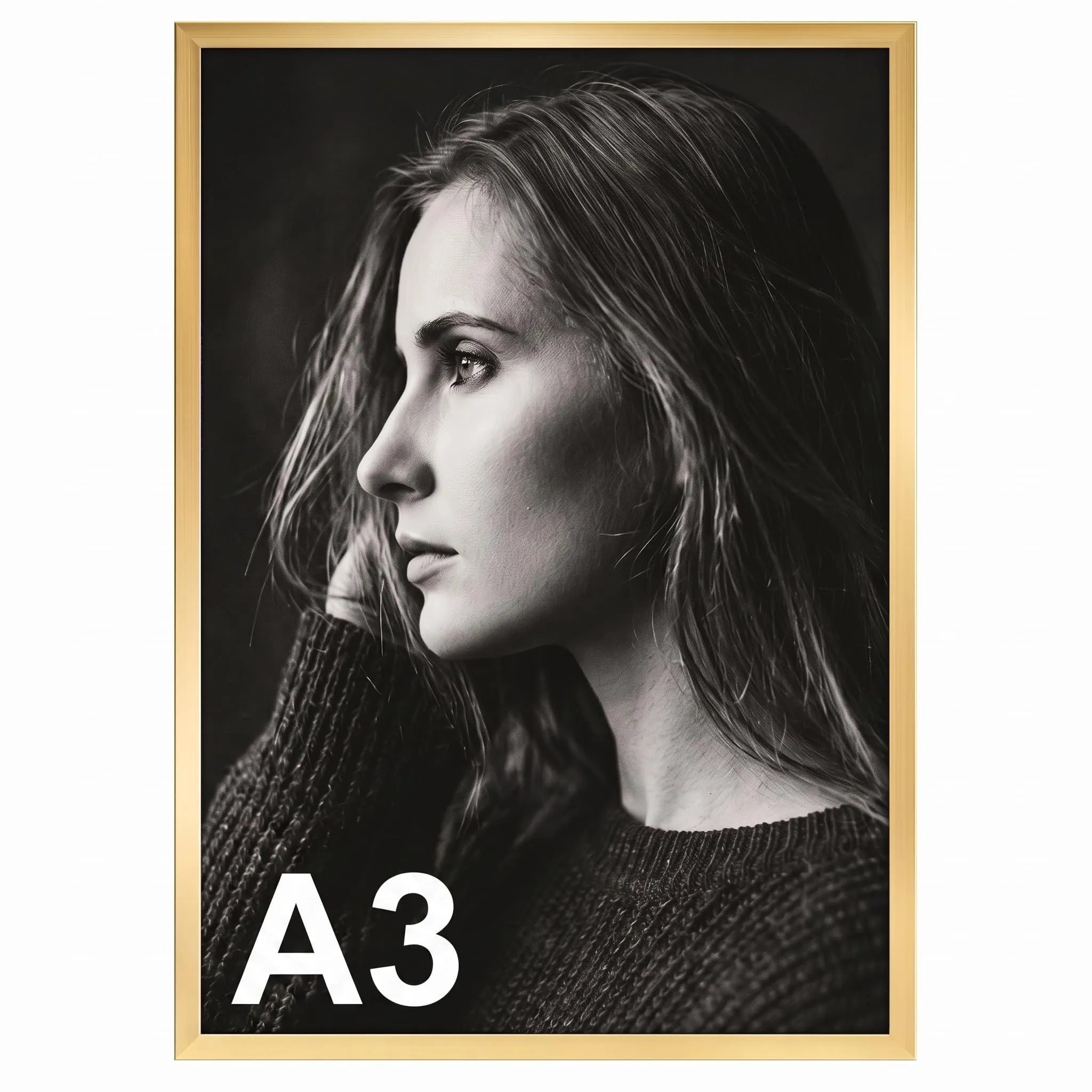 Ditwis Cornice A3 Oro per Poster, Foto e Certificati 29,7x42cm - immagine 1