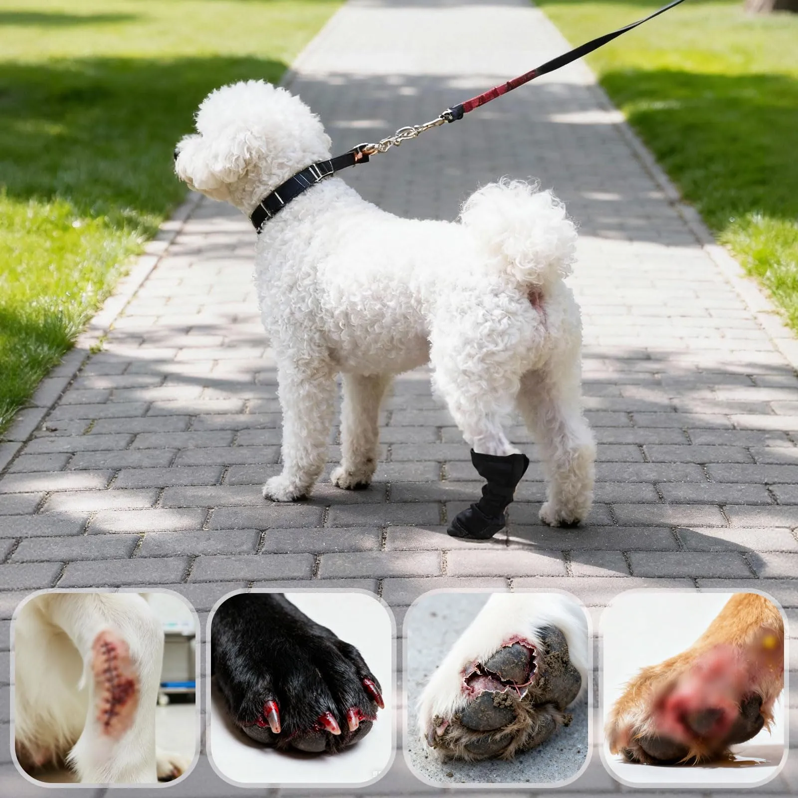 CHONGQILAO Scarpe di Protezione e Recupero per Cani, Calze Impermeabili e Antiscivolo per Zampe Ferite, Taglia XL, Nero - immagine 7