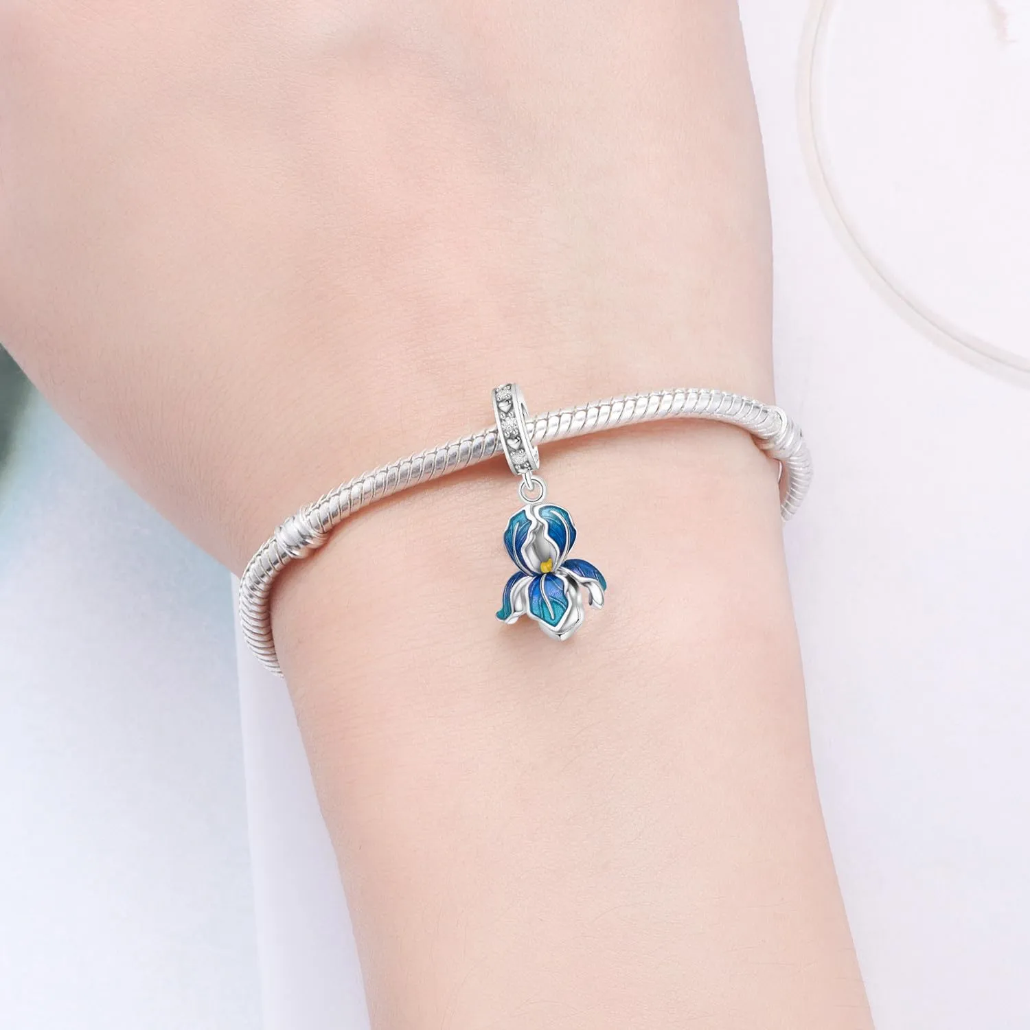 PANPOKI Ciondolo Charm in Argento Sterling 925 per Donna, Compatibile con Bracciali e Collane Europei - immagine 5