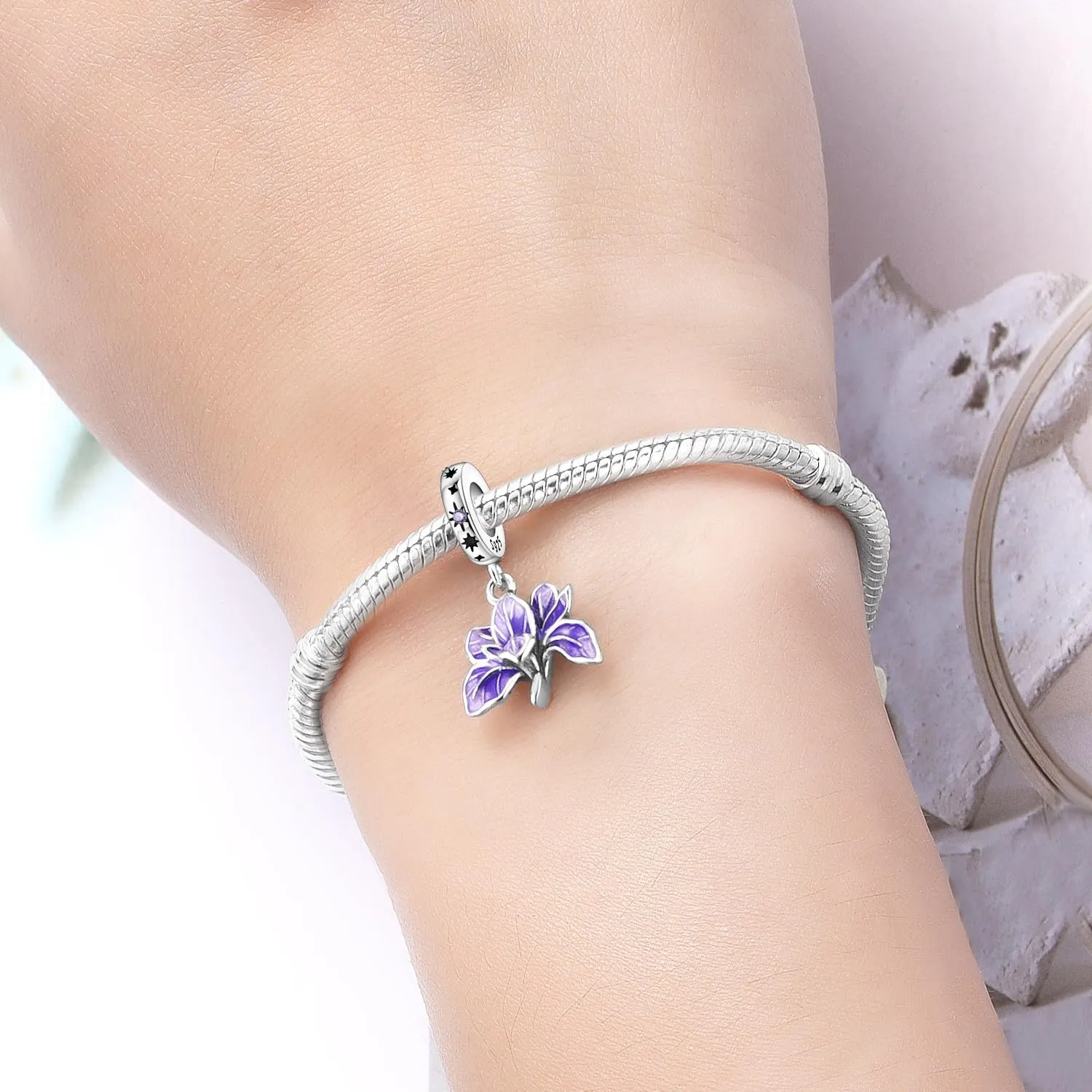 PANPOKI Ciondolo Charms in Argento Sterling 925 per Donne, Compatibile con Bracciali e Collane Europee - immagine 5