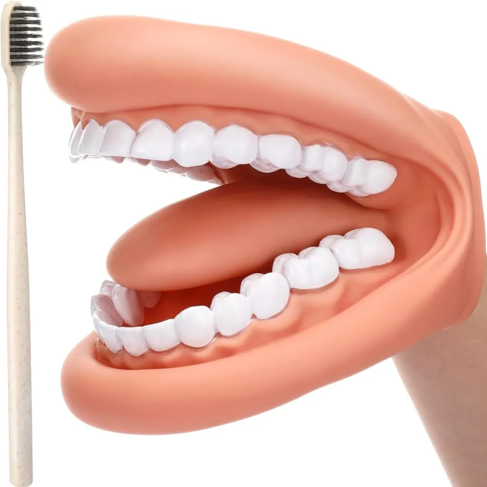 Gokelomg Modello di Bocca con Lingua e Denti, Marionetta Educativa con Spazzolino da Denti per Apprendimento e Logopedia - immagine 1