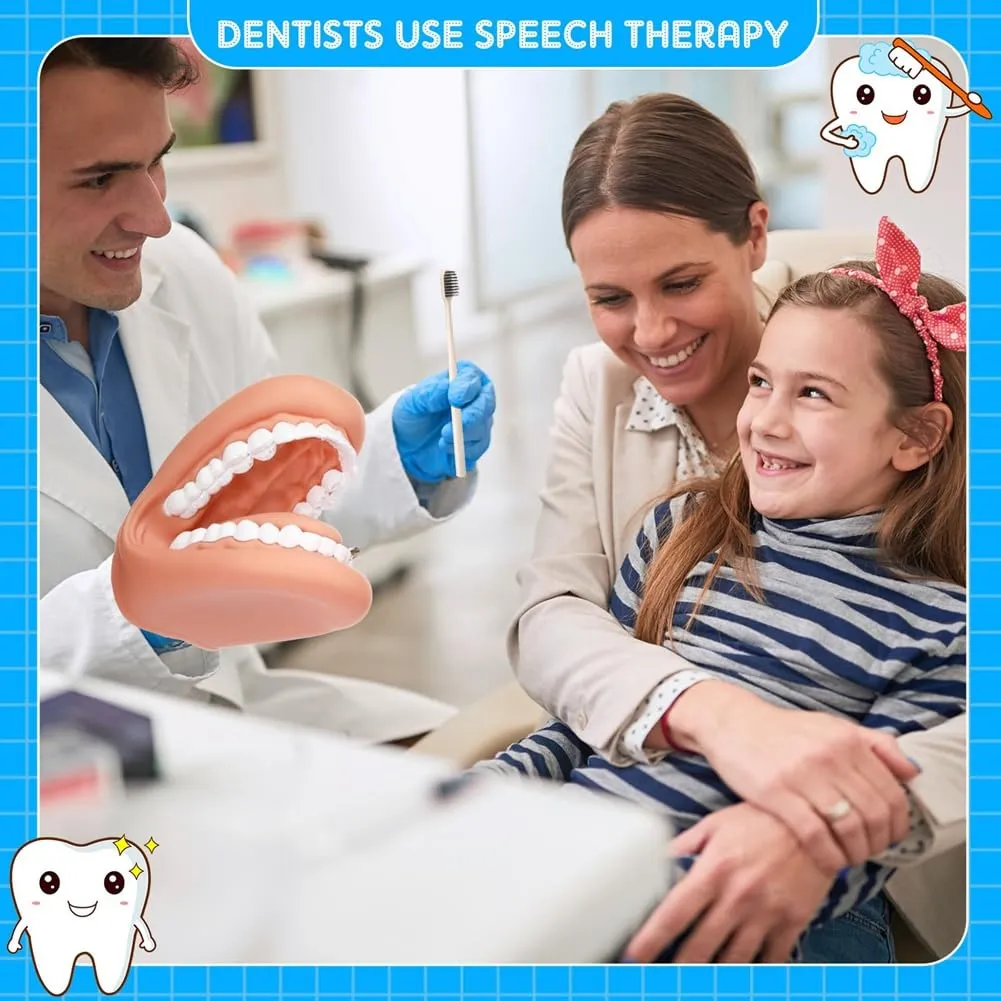 Gokelomg Modello di Bocca con Lingua e Denti, Marionetta Educativa con Spazzolino da Denti per Apprendimento e Logopedia - immagine 3