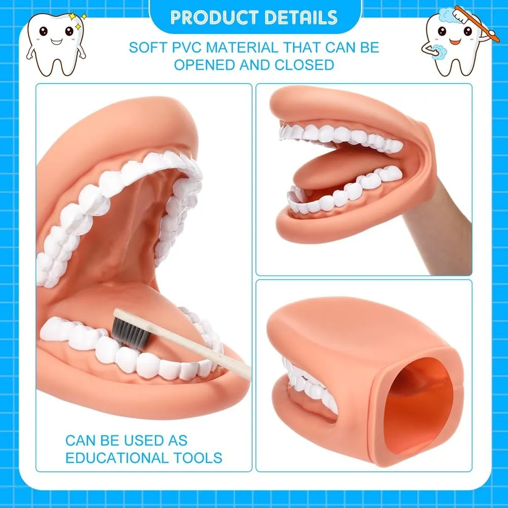 Gokelomg Modello di Bocca con Lingua e Denti, Marionetta Educativa con Spazzolino da Denti per Apprendimento e Logopedia - immagine 4