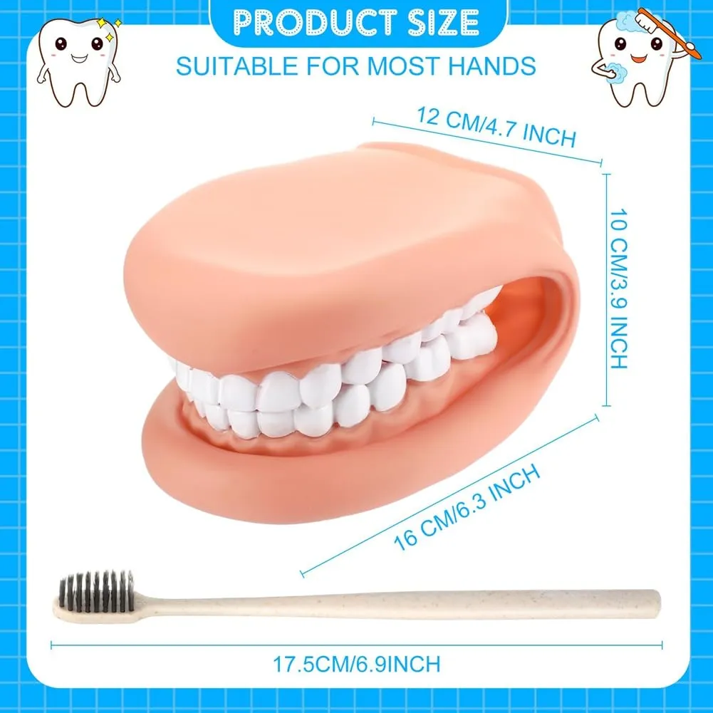 Gokelomg Modello di Bocca con Lingua e Denti, Marionetta Educativa con Spazzolino da Denti per Apprendimento e Logopedia - immagine 7